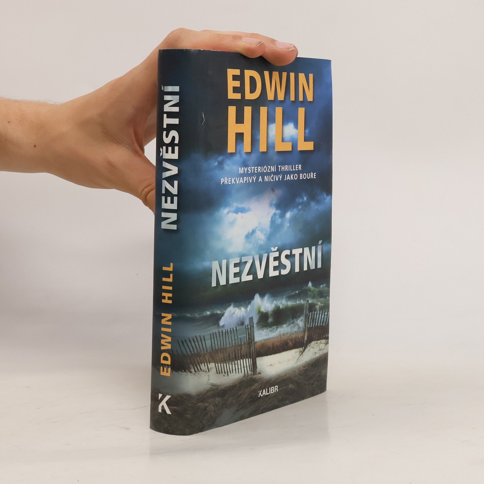 Edwin Hill Nezvěstní