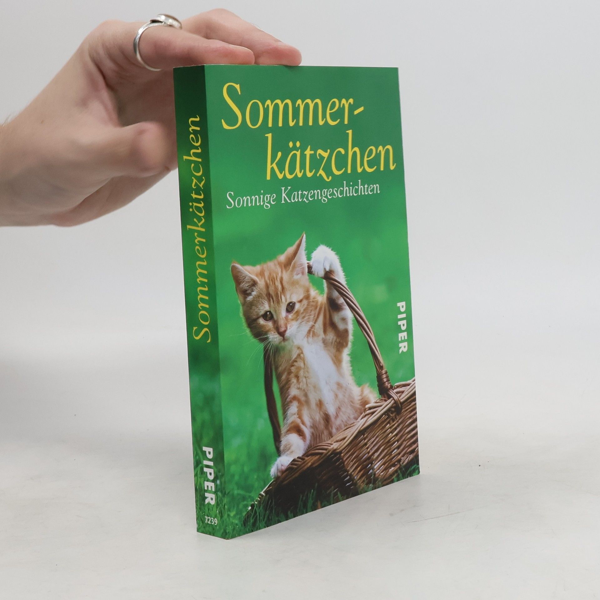 Jone Heer Sommerkätzchen