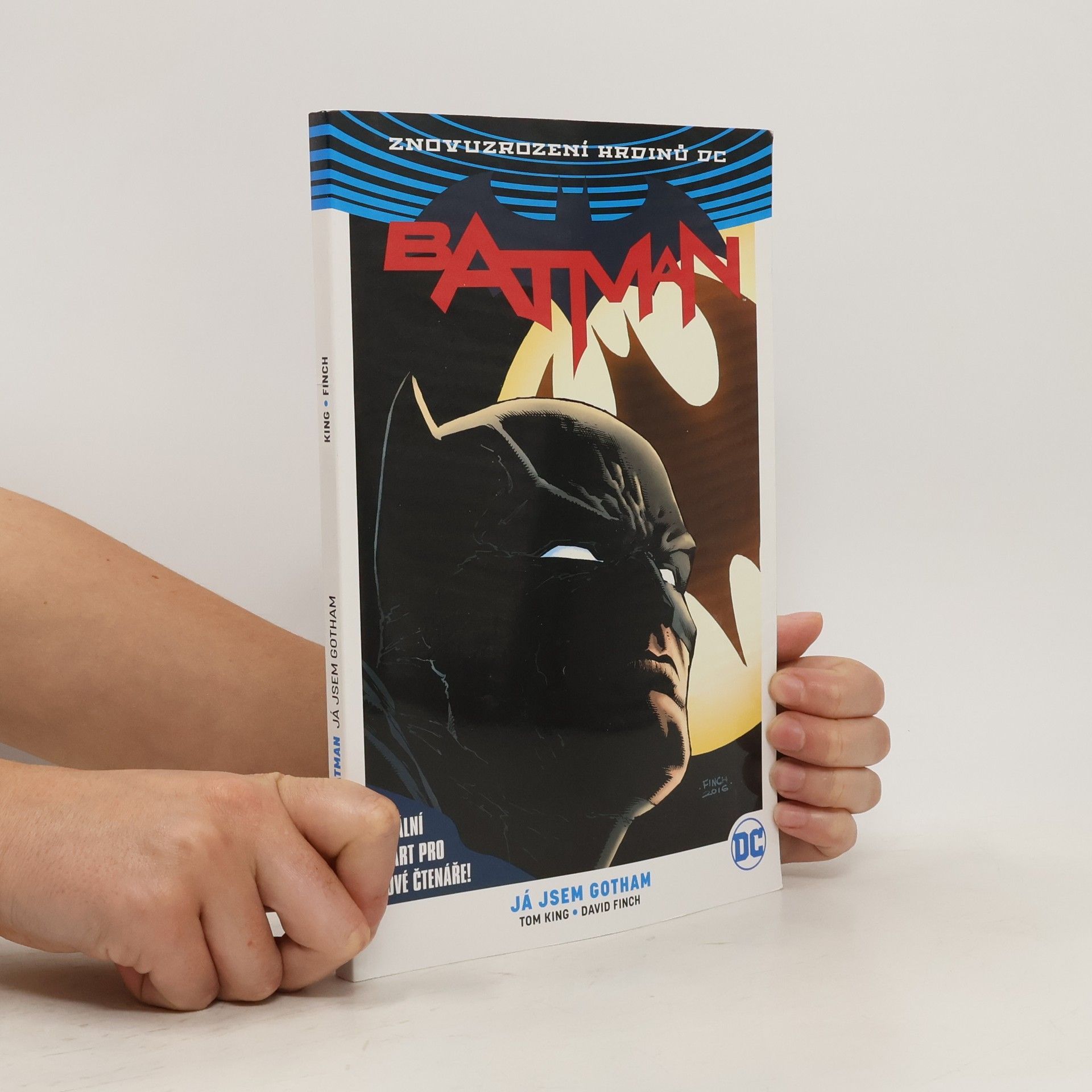kolektiv Batman. 1. díl, Já jsem Gotham
