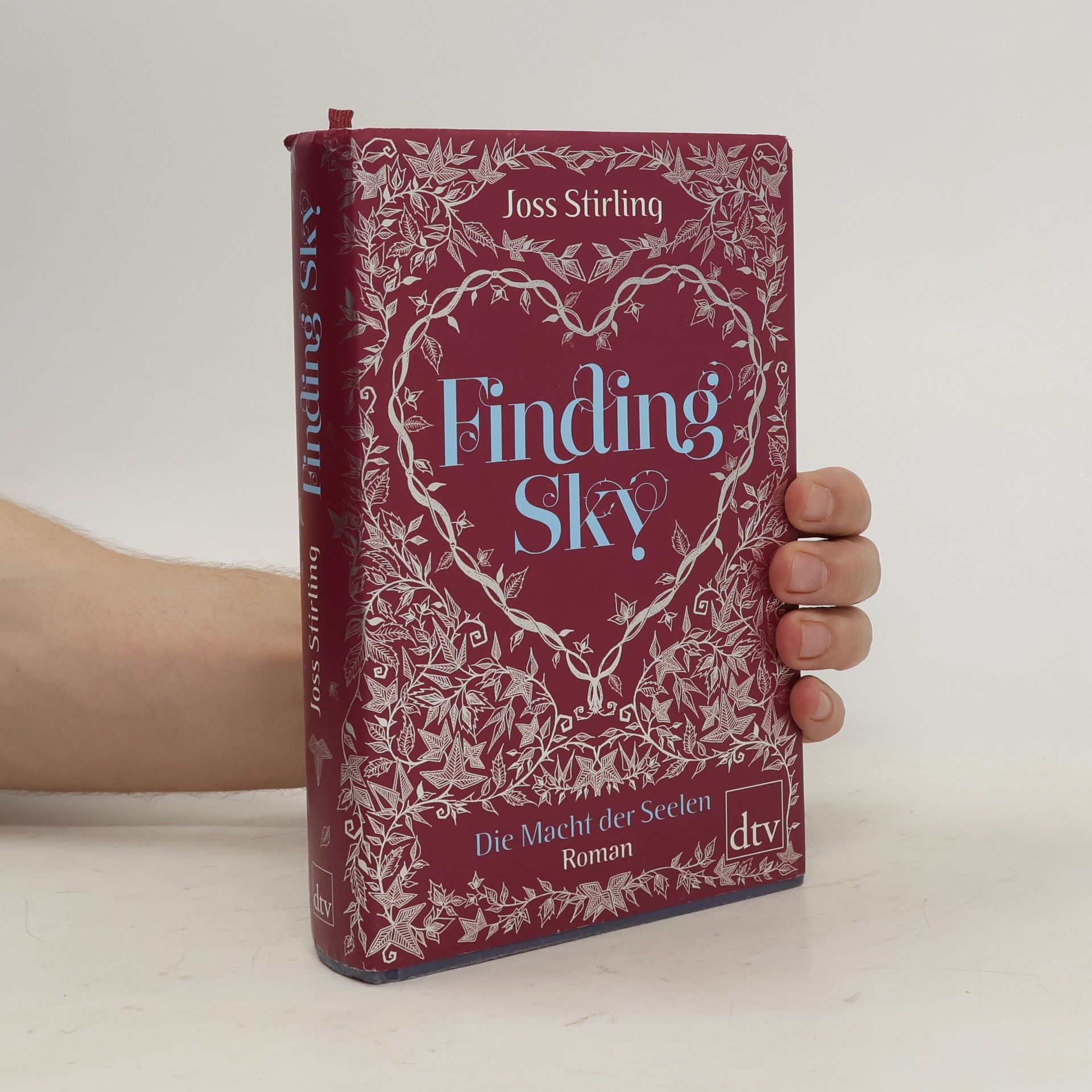 Julia Golding Finding Sky: Die Macht der Seelen