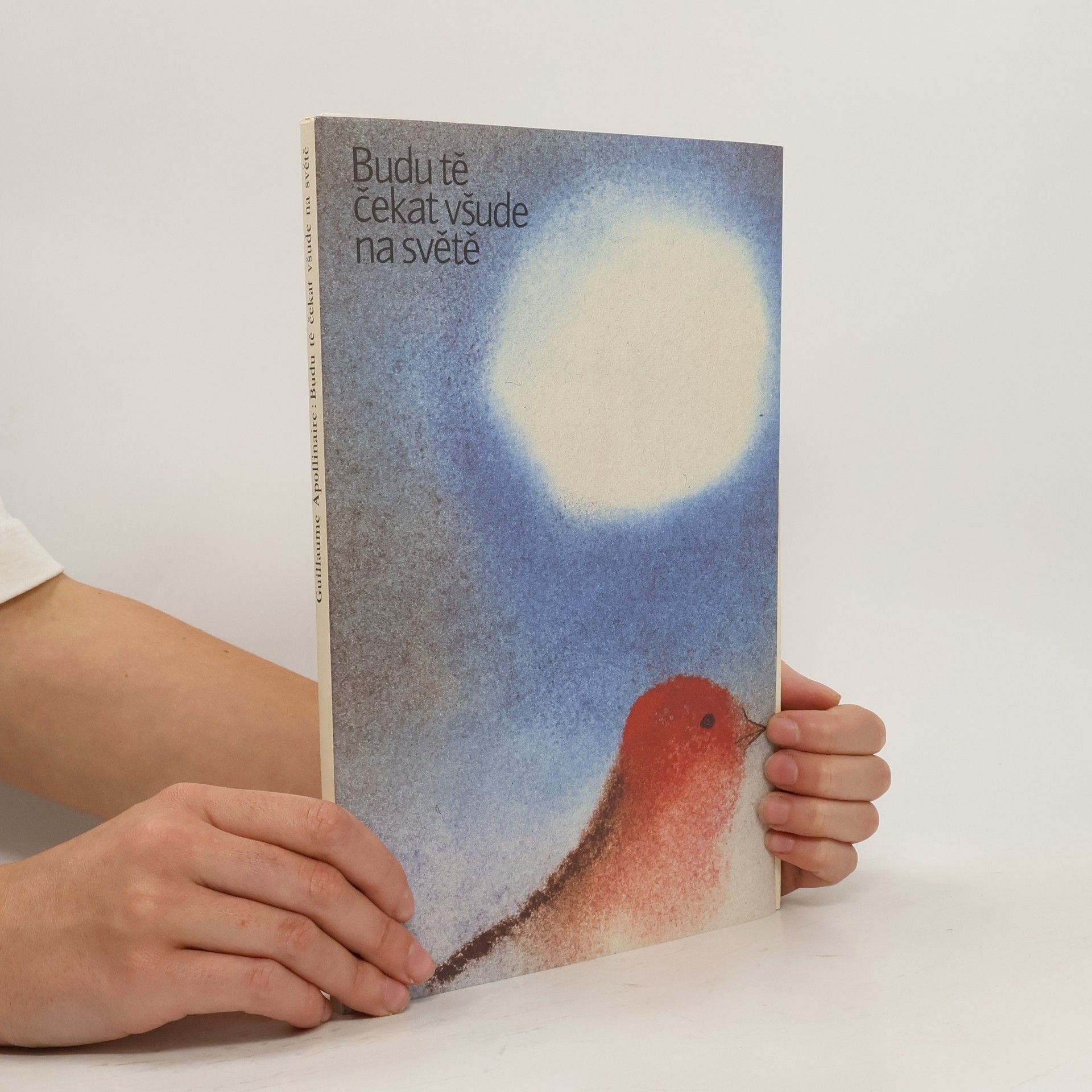 Guillaume Apollinaire Budu tě čekat všude na světě