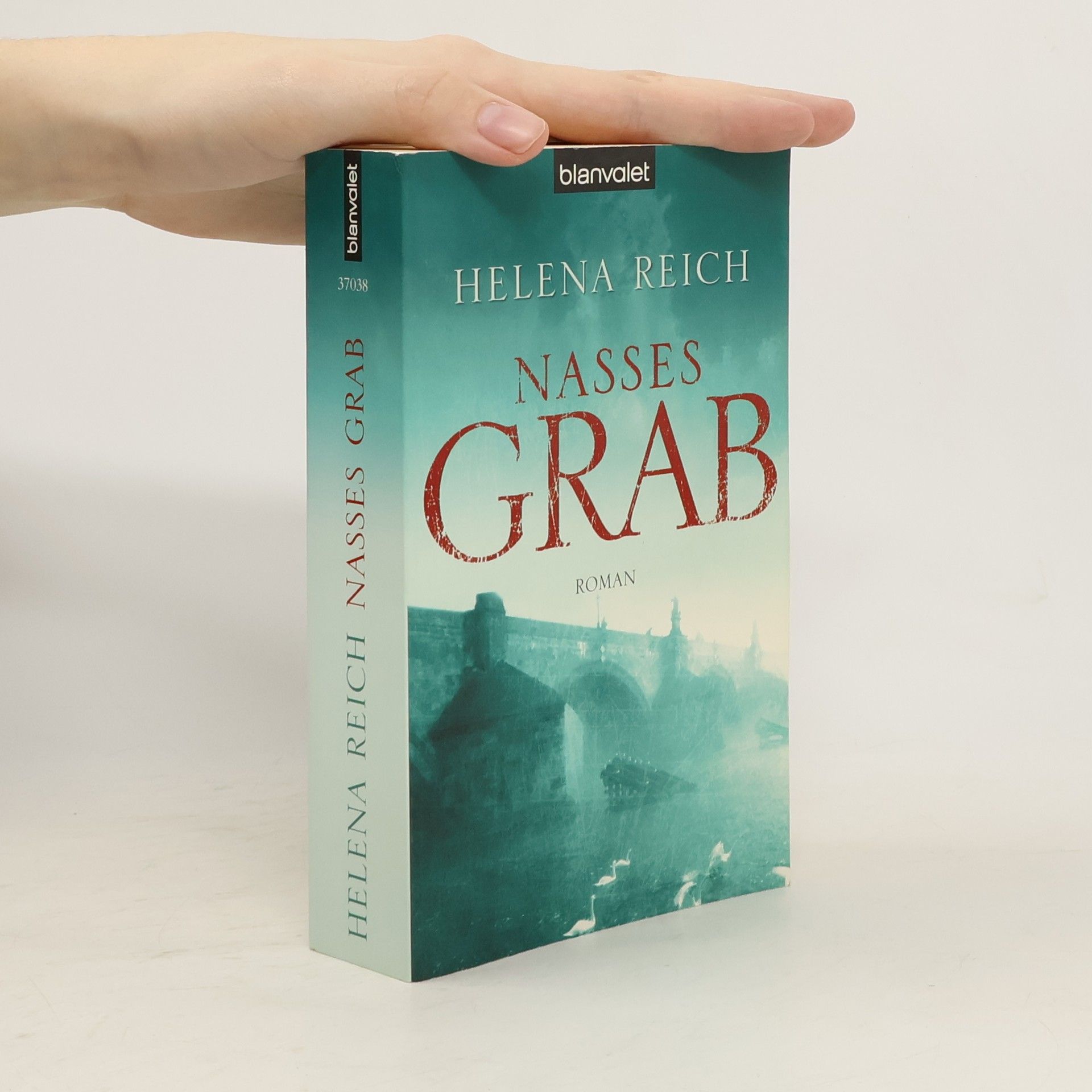 Helena Reich Nasses Grab