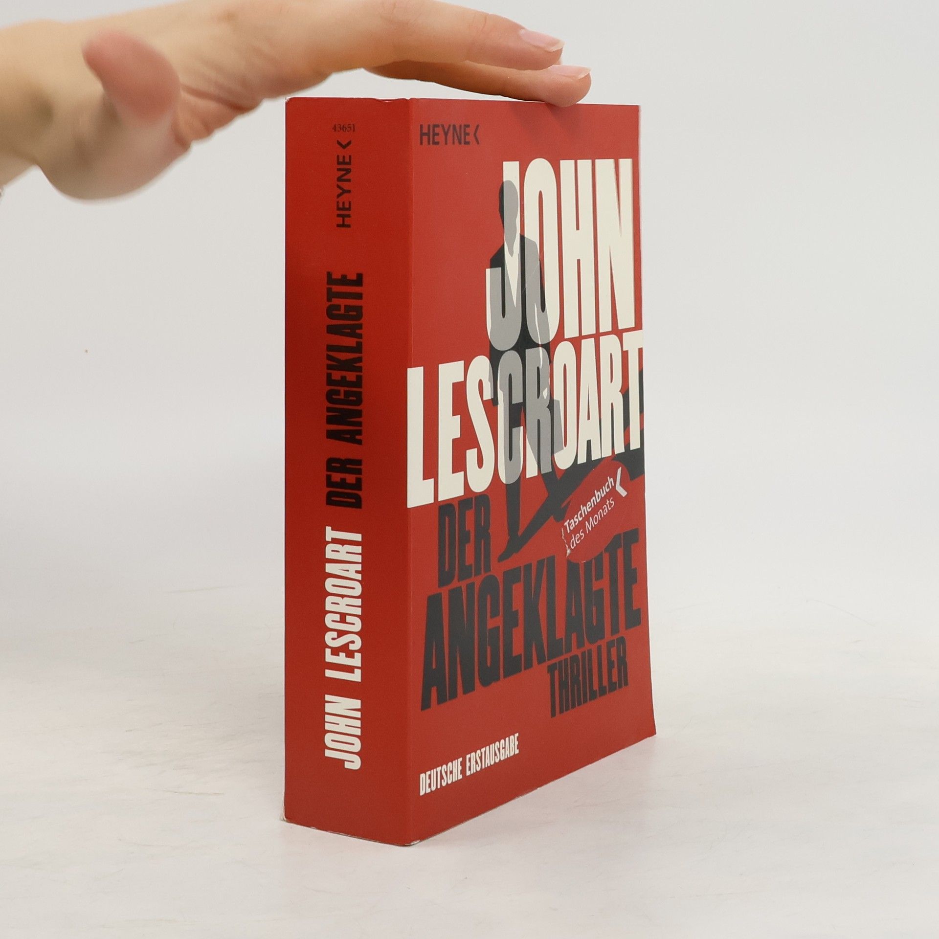 John T. Lescroart Der Angeklagte