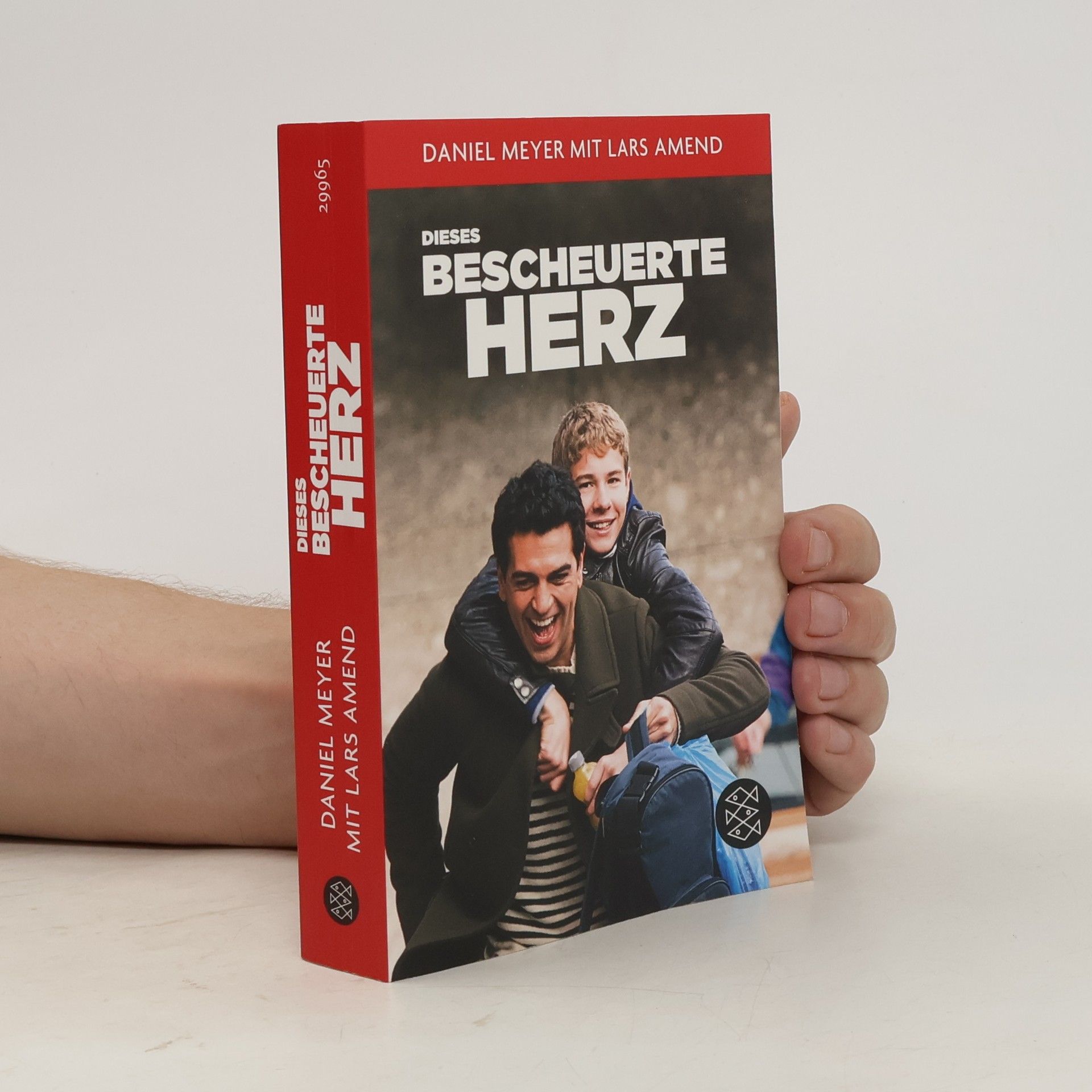 Daniel Meyer Dieses bescheuerte Herz