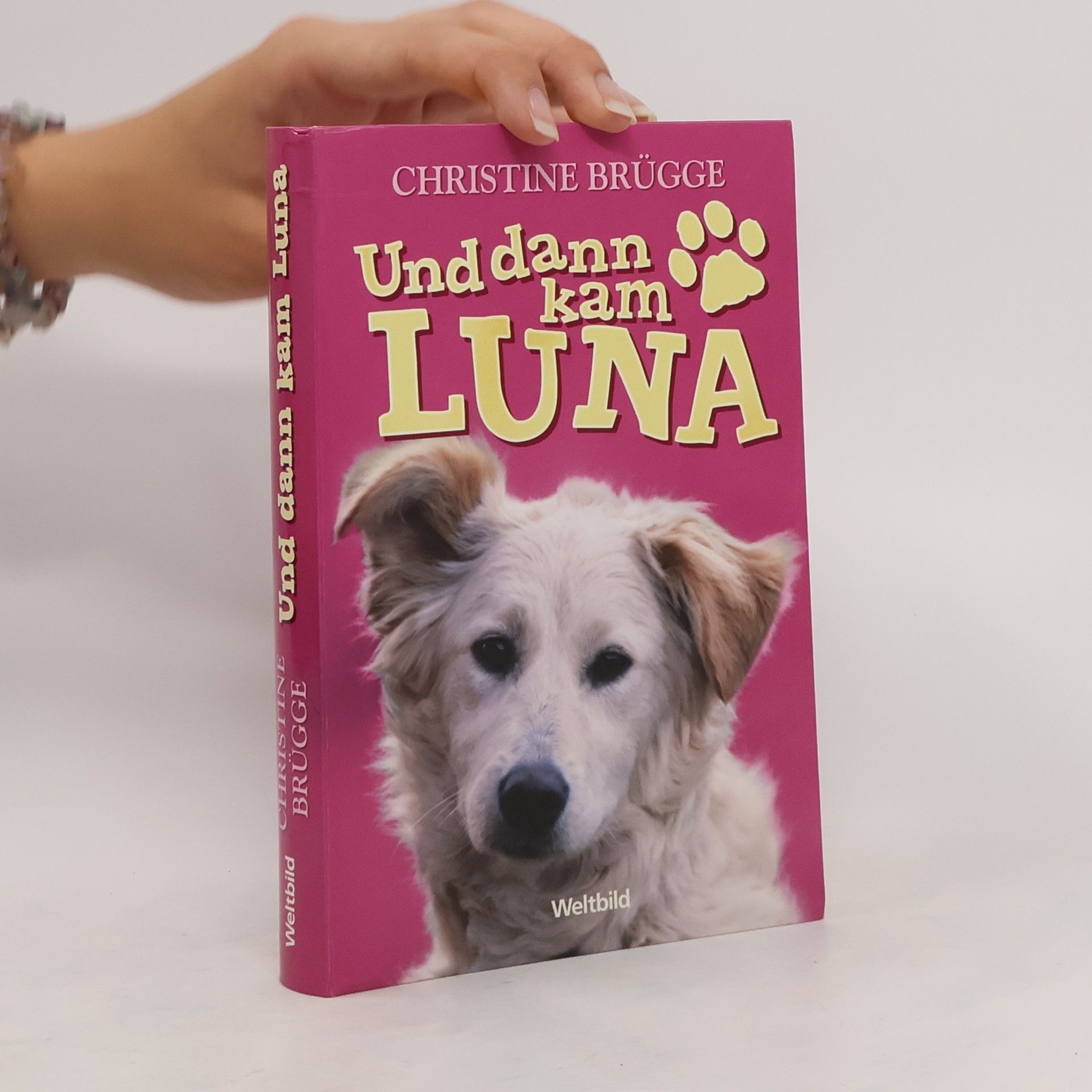Christine Brügge Und dann kam Luna
