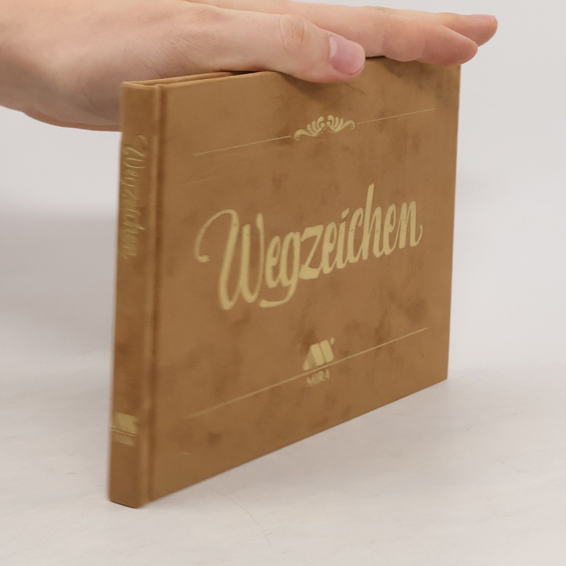 Collectif d'auteurs Wegzeichen