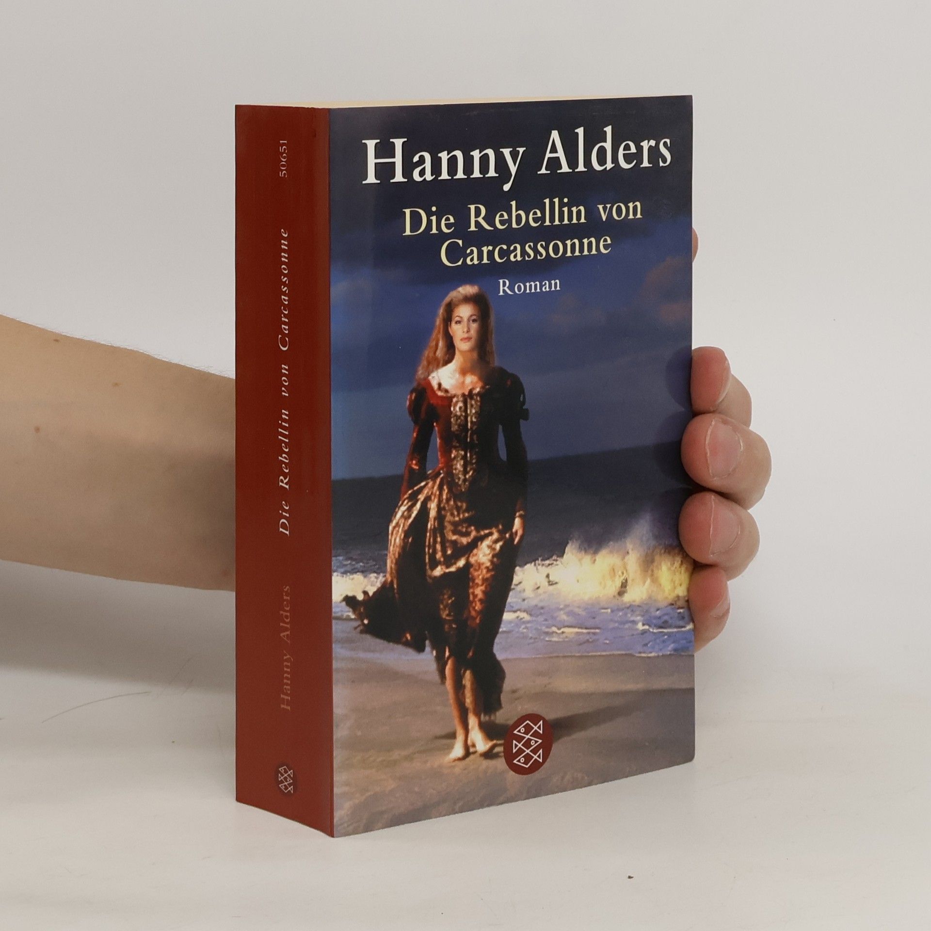 Hanny Alders Die Rebellin von Carcassonne