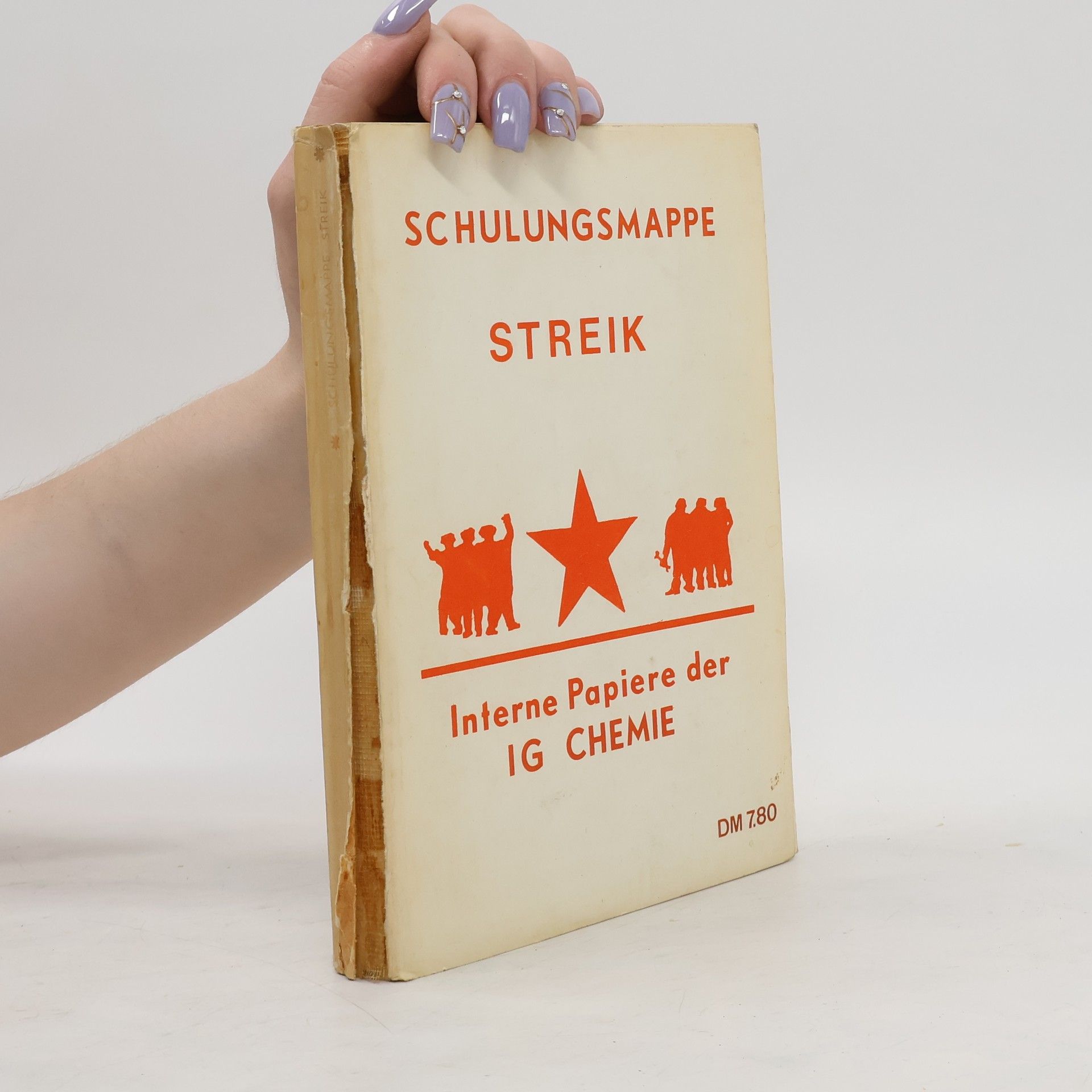 Collectif d'auteurs Schulungsmappe Streik