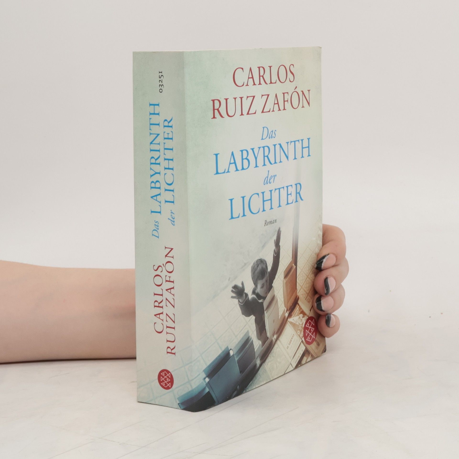 Carlos Ruiz Zafón Das Labyrinth der Lichter