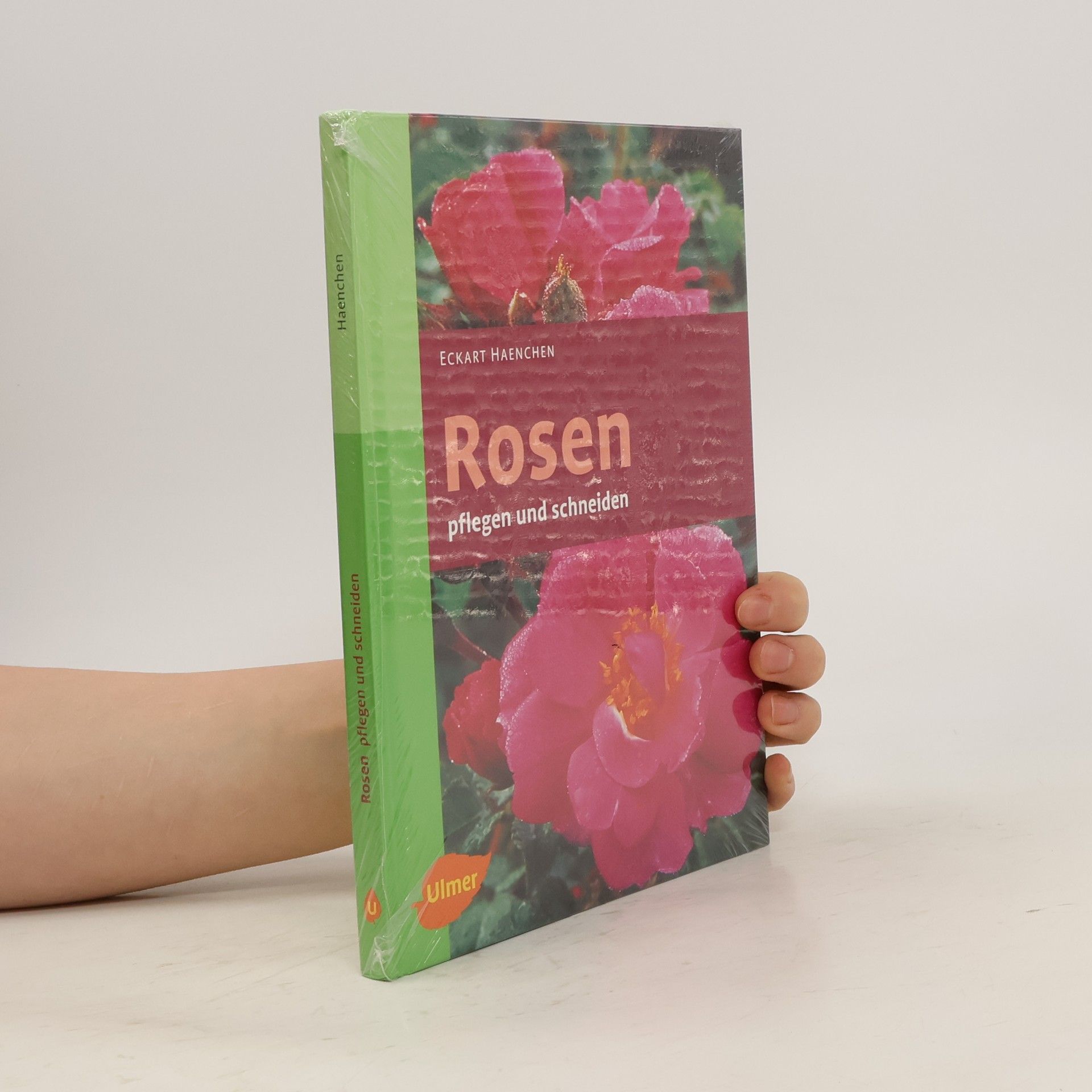 Eckart Haenchen Rosen