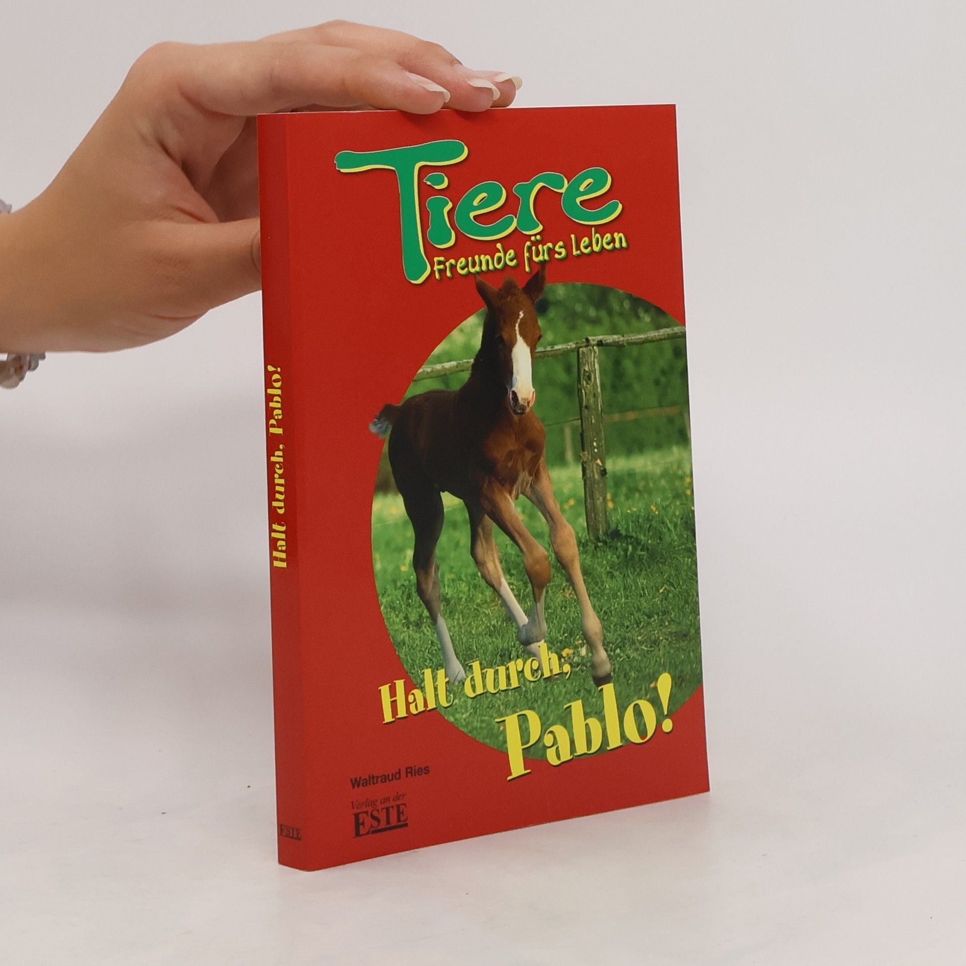 Collectif d'auteurs Halt durch, Pablo! Tiere, Freunde fürs Leben