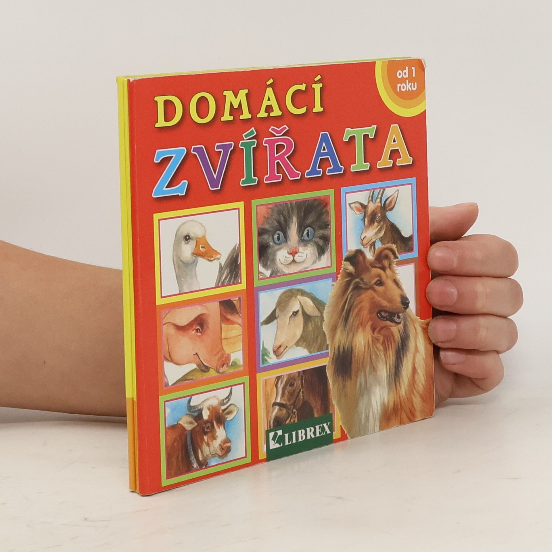 Dagmar Košková Domácí zvířata