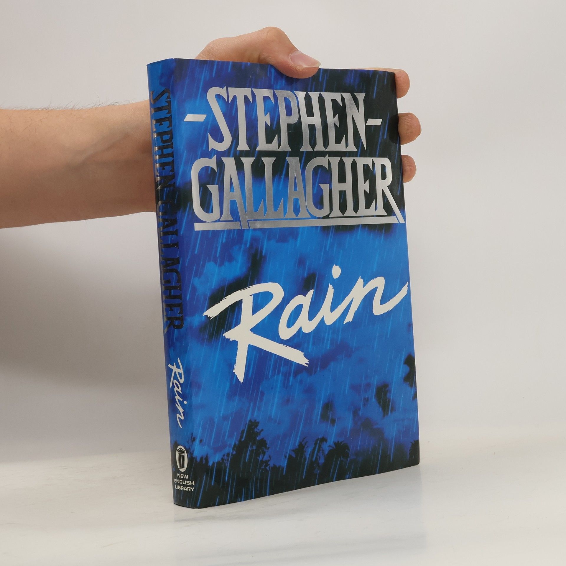 Steve Gallagher Rain