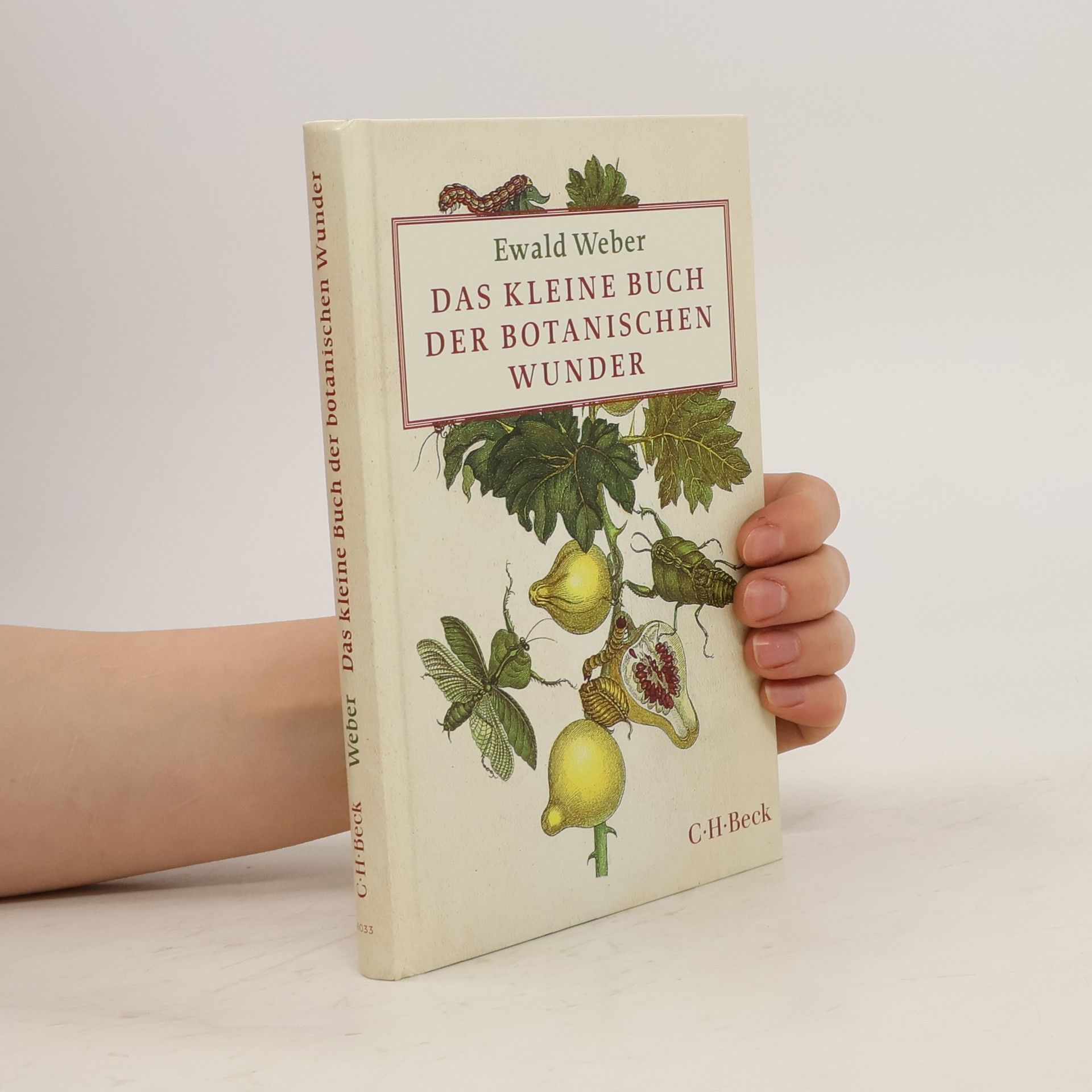 Ewald Weber Das kleine Buch der botanischen Wunder