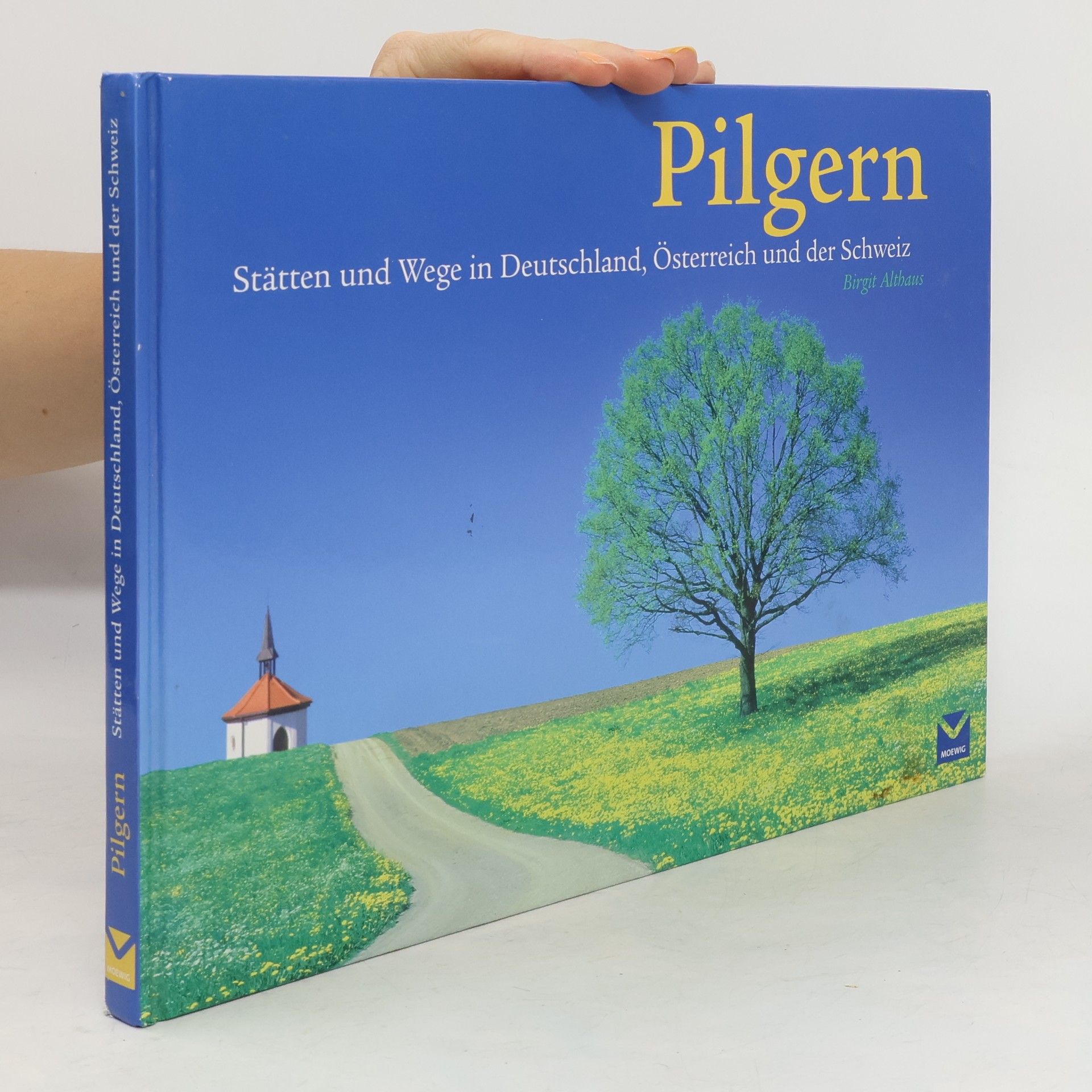 AA.VV. Sandra Posterbook