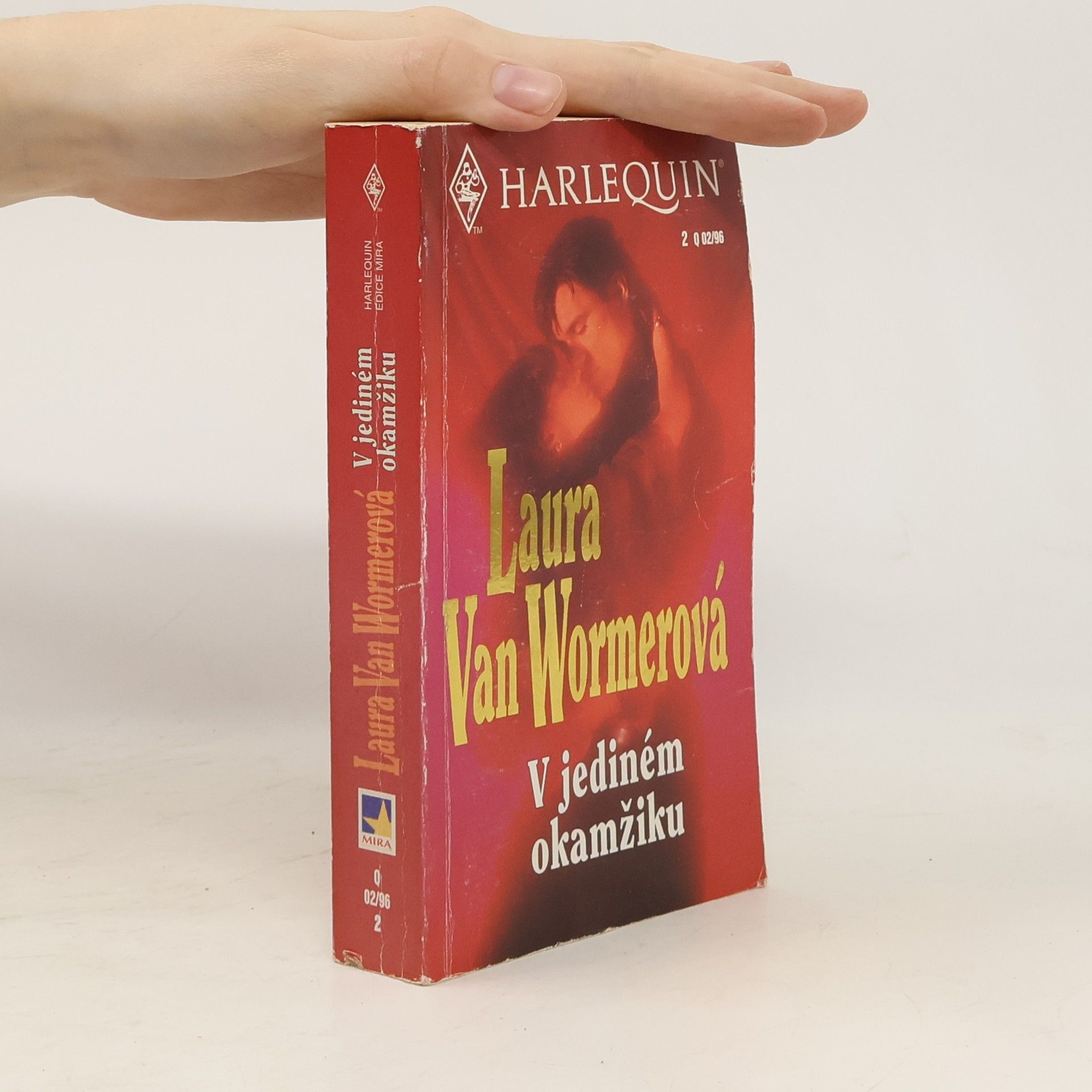 Laura van Wormer V jediném okamžiku
