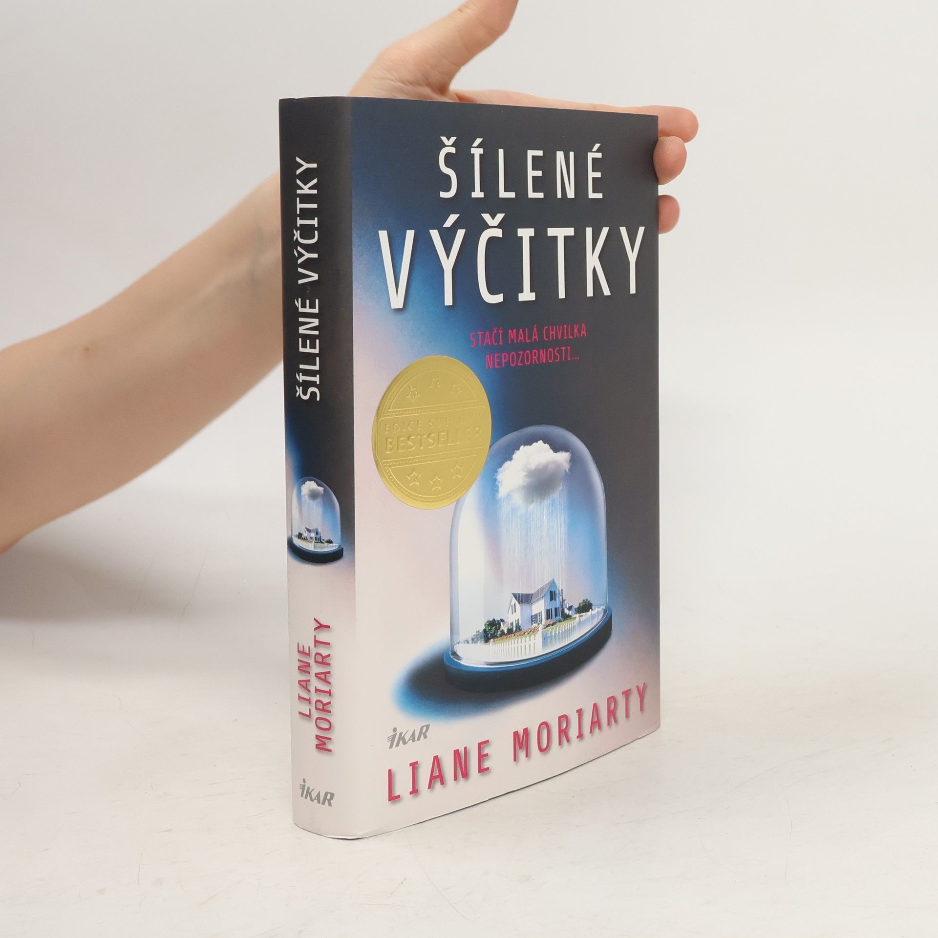 Liane Moriarty Šílené výčitky