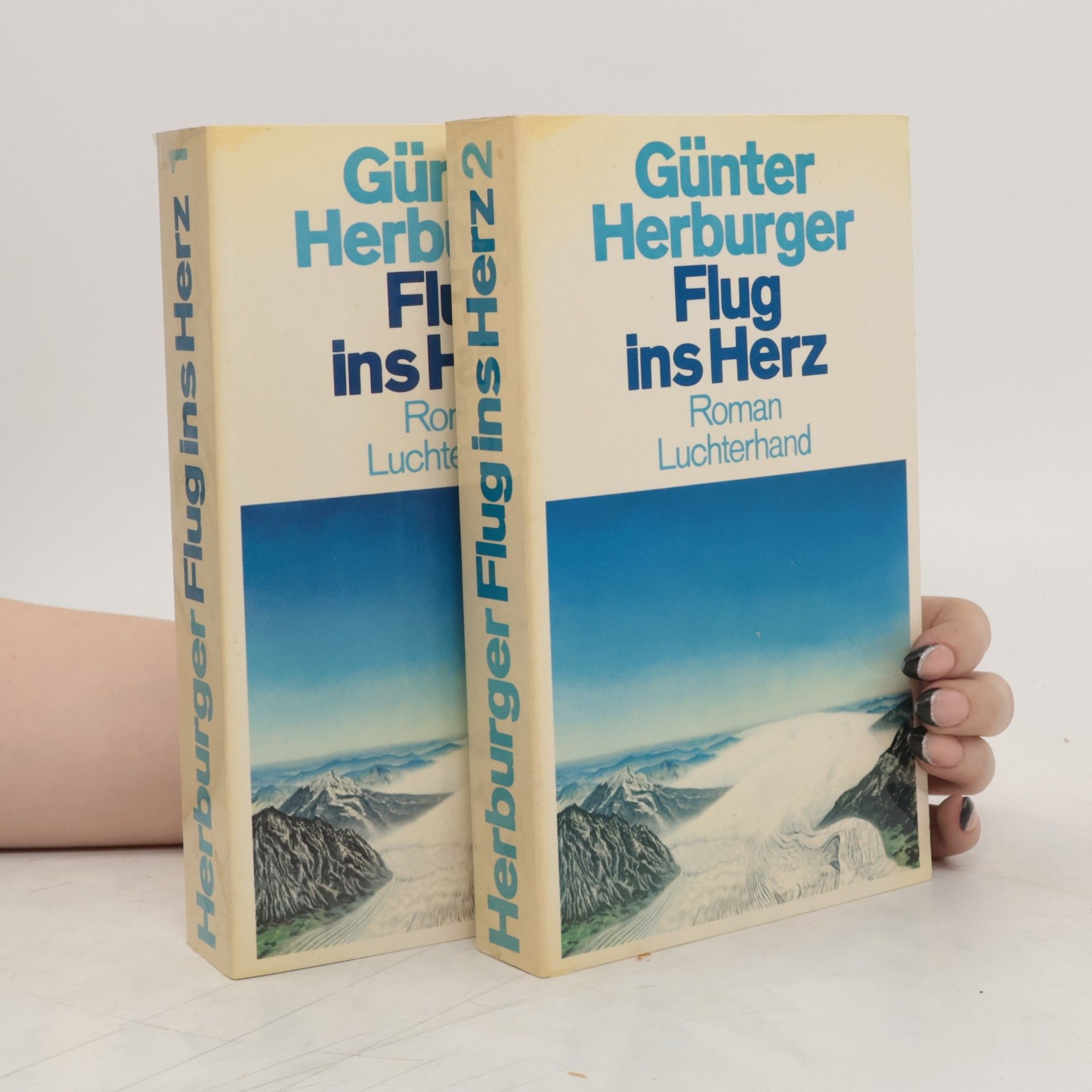 Günter Herburger Flug ins Herz 1.-2.