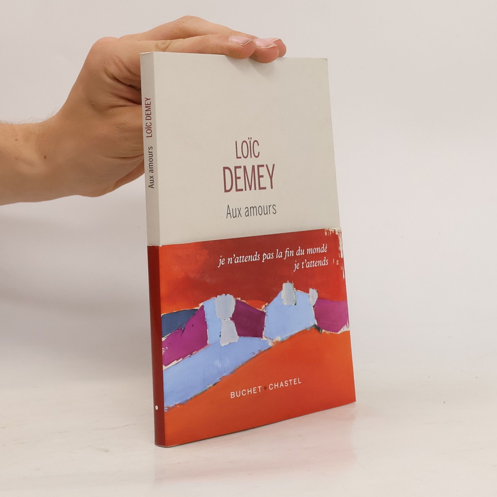 Loïc Demey Aux amours