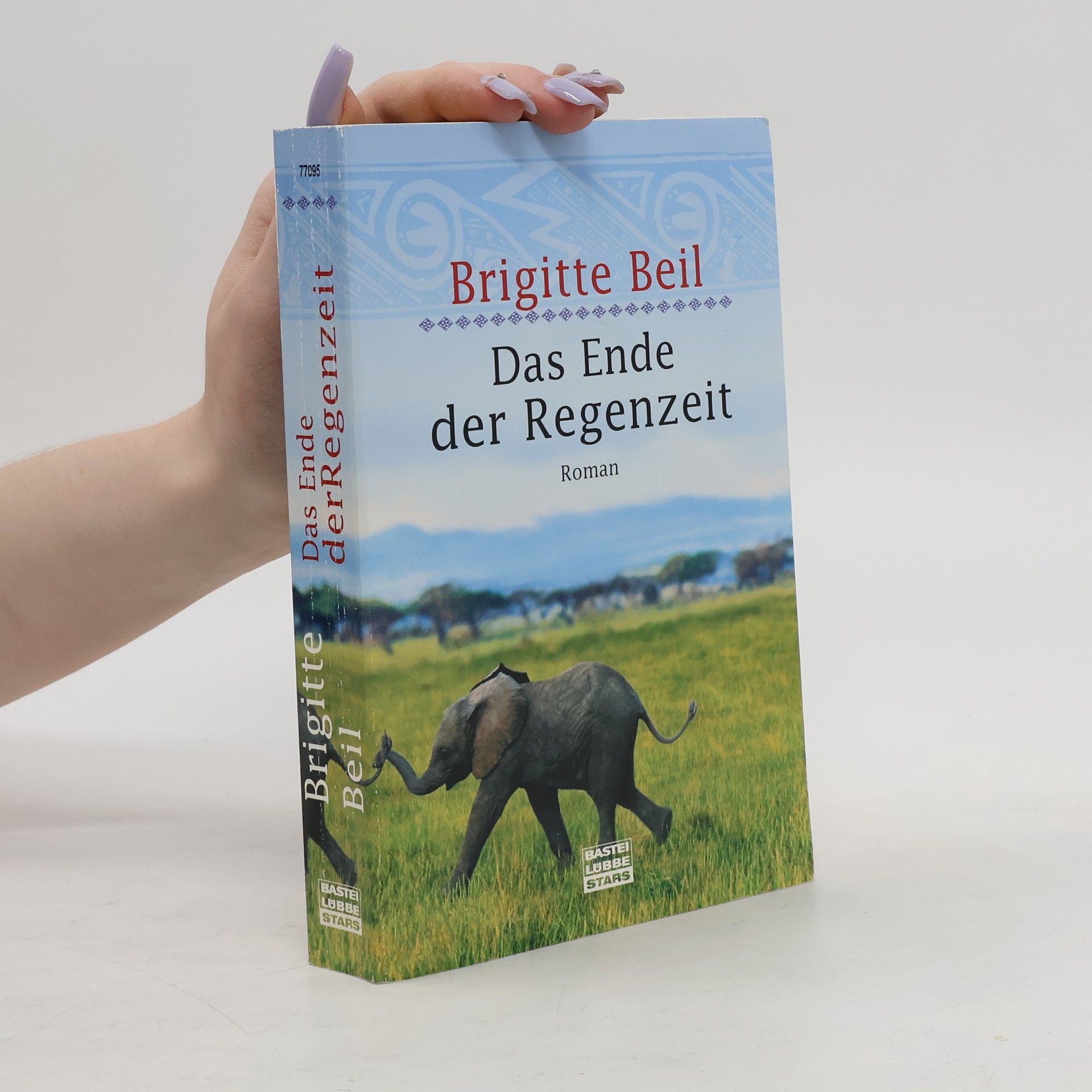 Brigitte Beil Das Ende der Regenzeit
