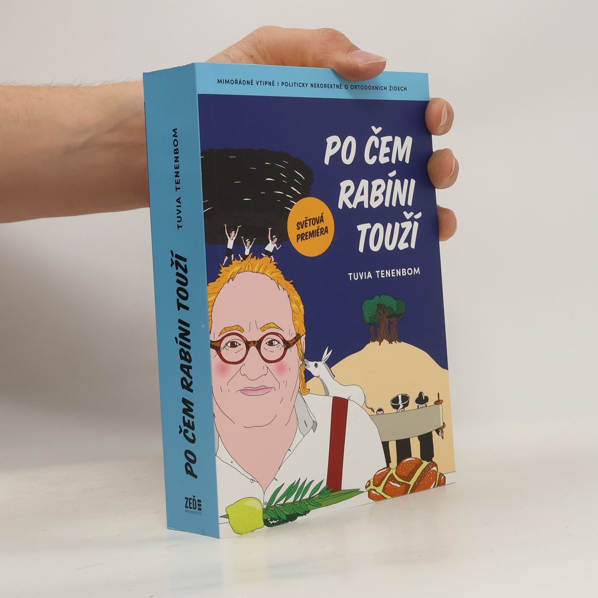 Tuvia Tenenbom Po čem rabíni touží : mimořádně vtipná i politicky nekorektní zpráva o ortodoxních Židech