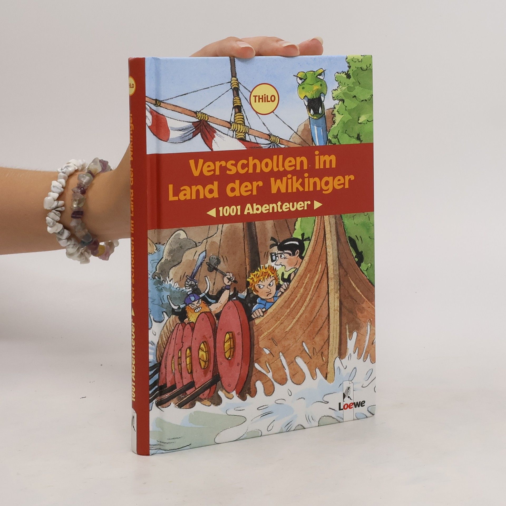 Thilo Petry-Lassak Verschollen im Land der Wikinger