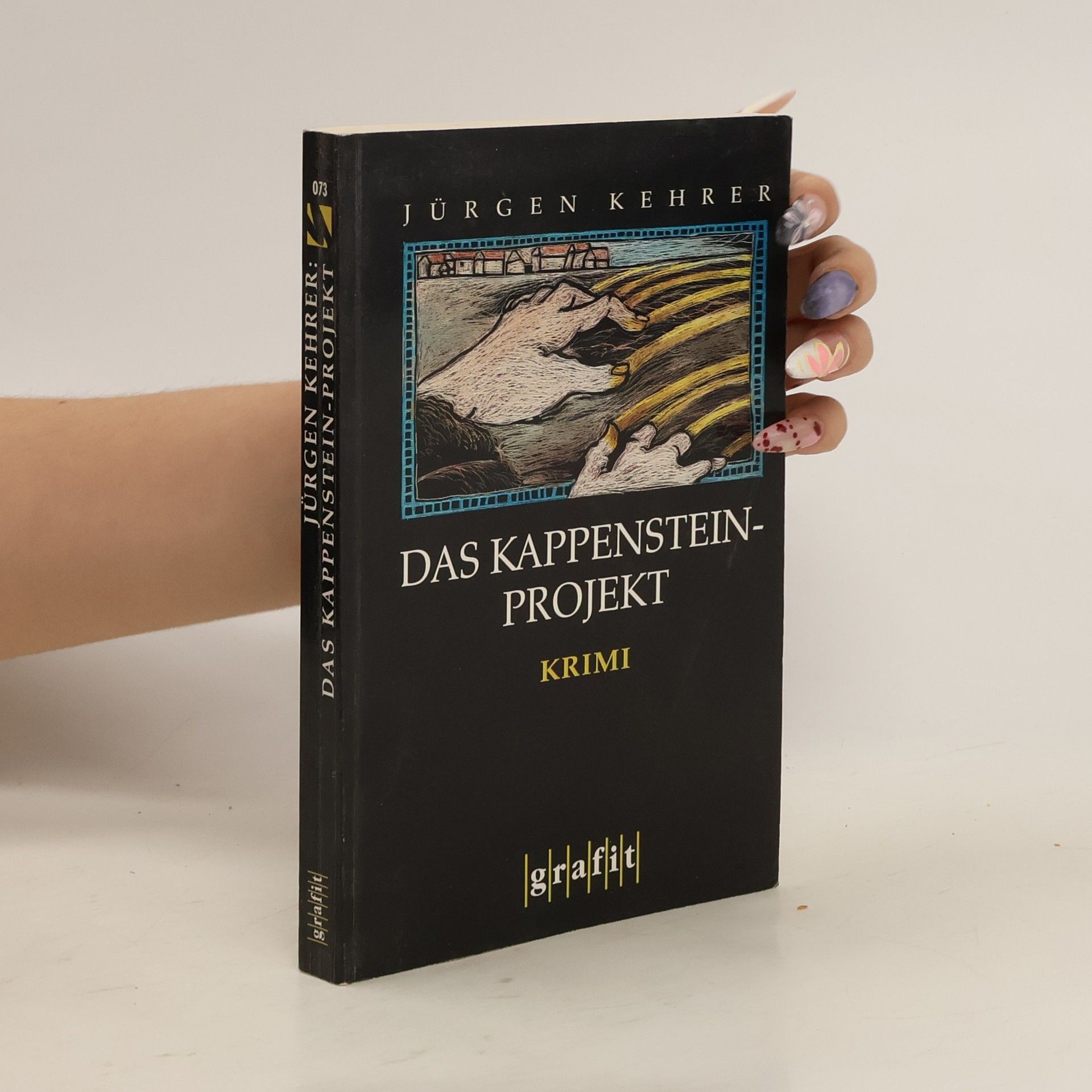 Jürgen Kehrer Das Kappenstein-Projekt