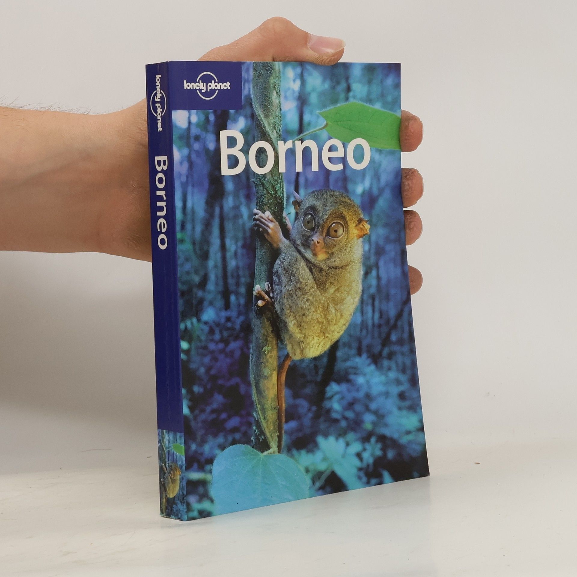 Chris Rowhtorn Borneo