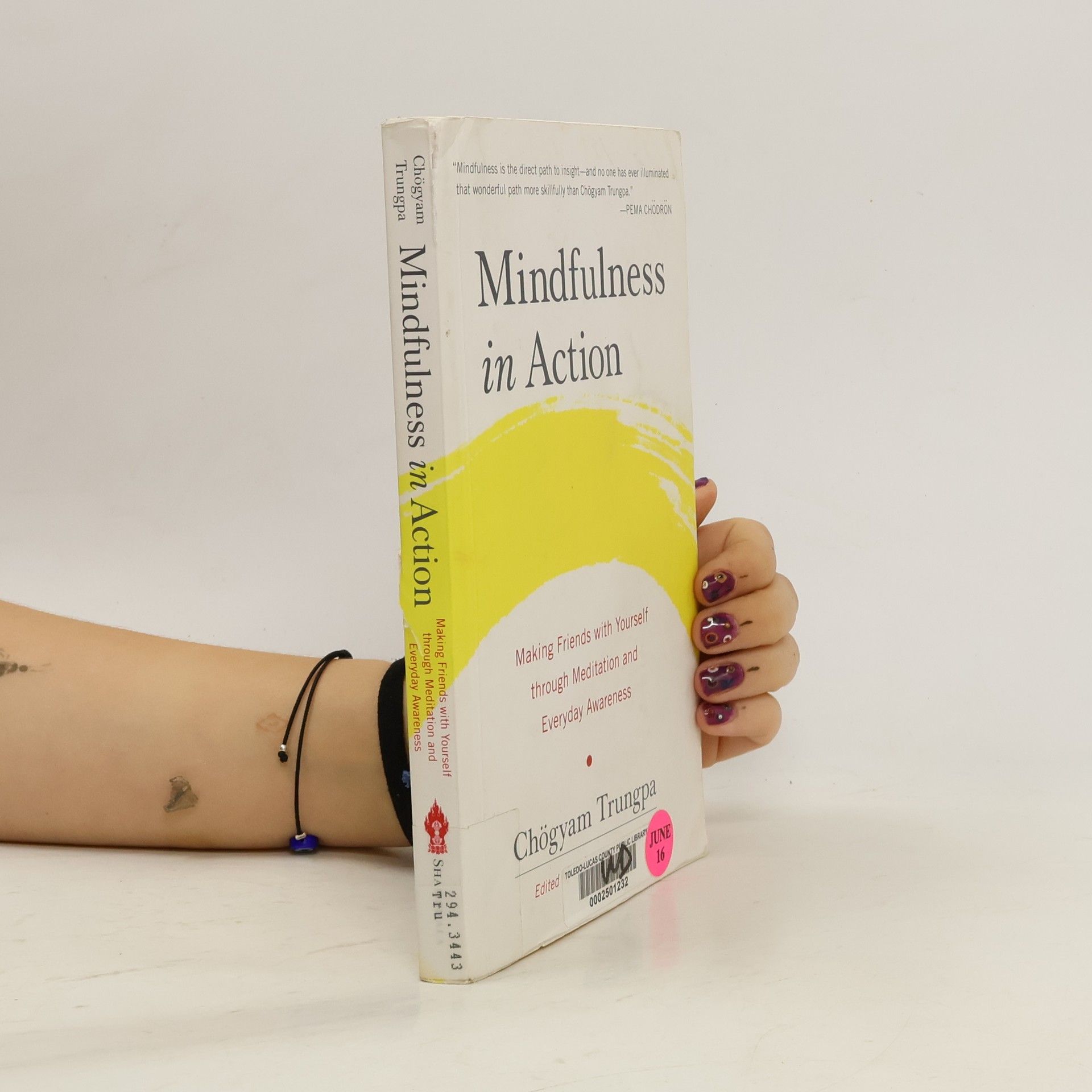 Čhögjam Trungpa Mindfulness in Action