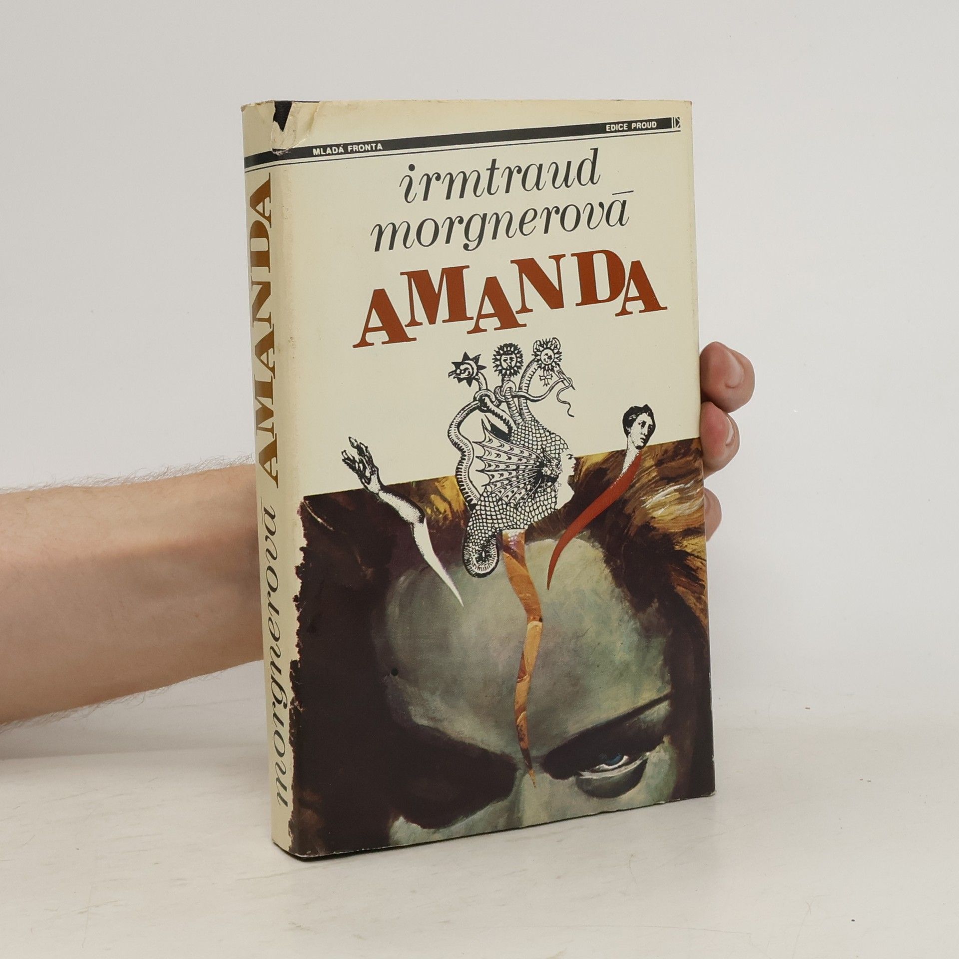 Irmtraud Morgner Amanda. Čarodějničí román