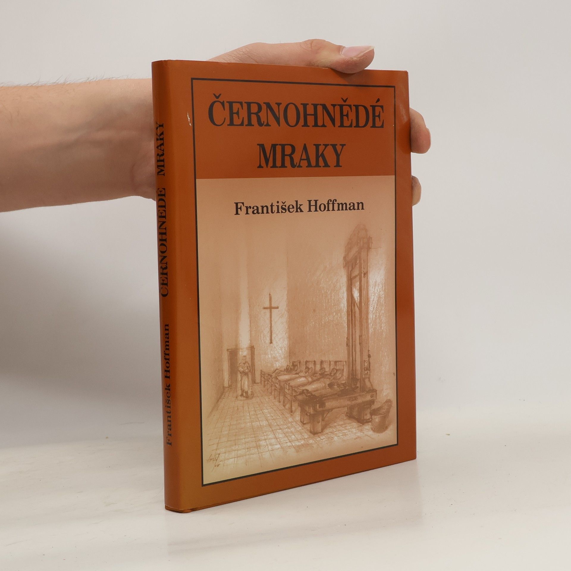 František Hoffman Černohnědé mraky