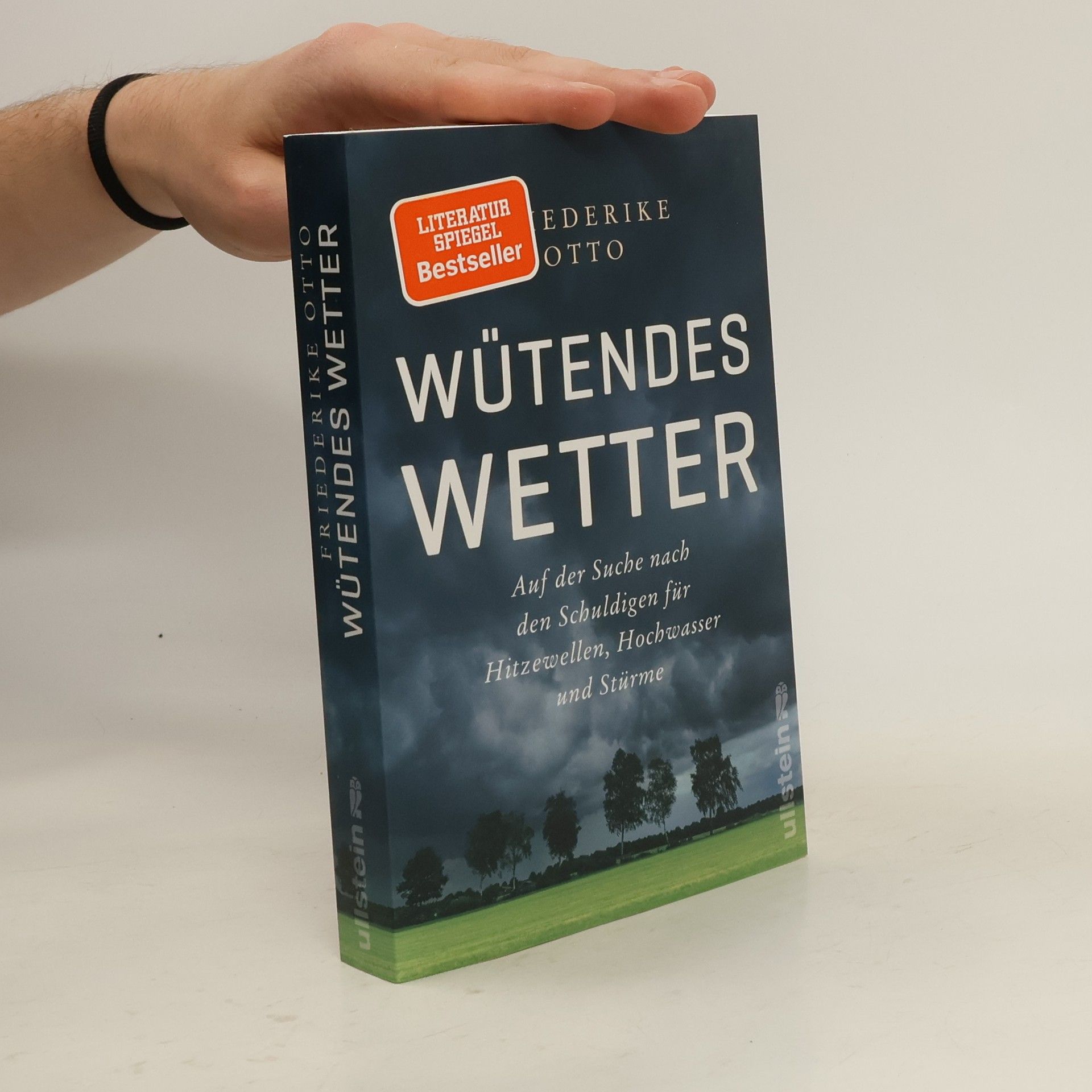 Friederike Otto Wütendes Wetter