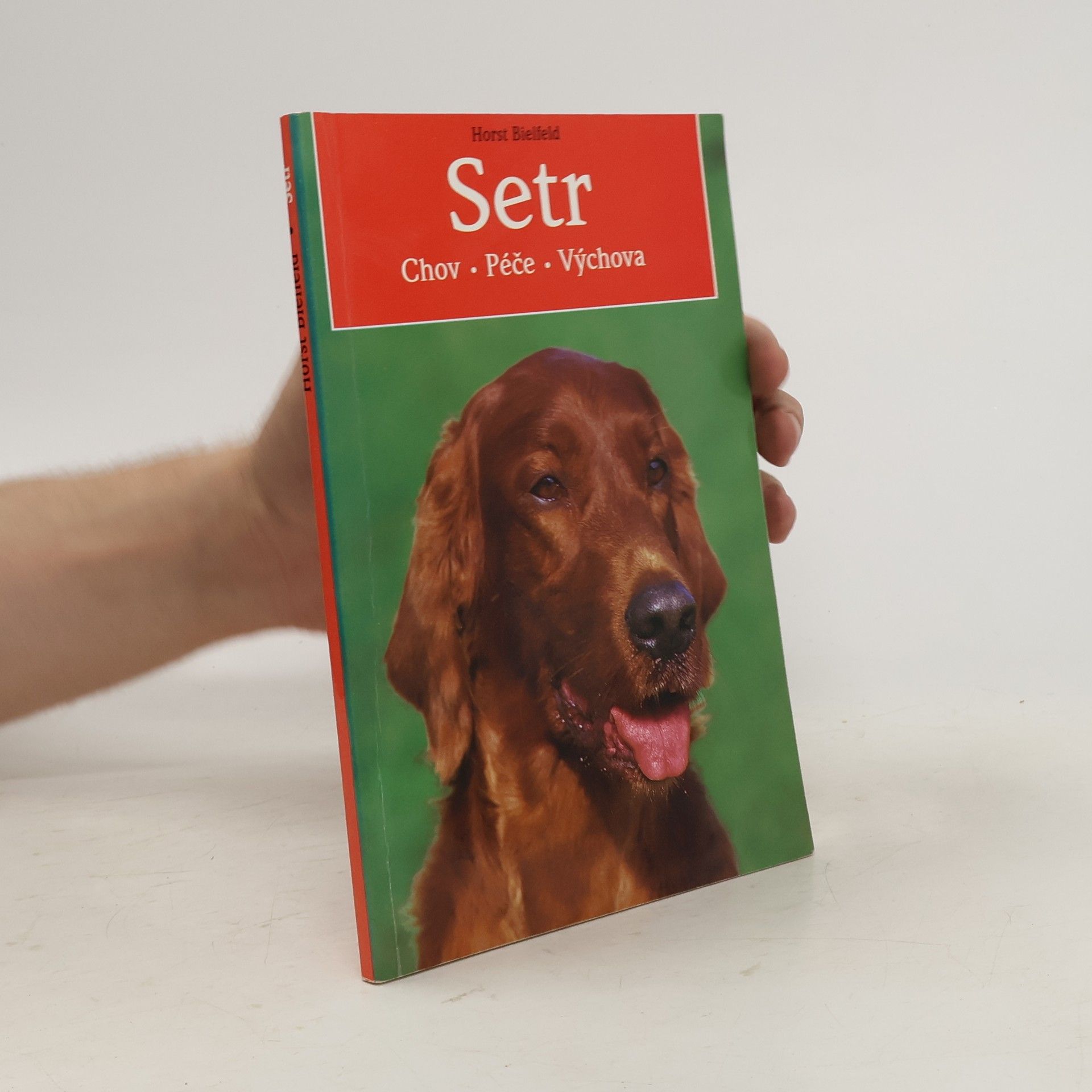 Horst Bielfeld Setr: chov, péče, výchova