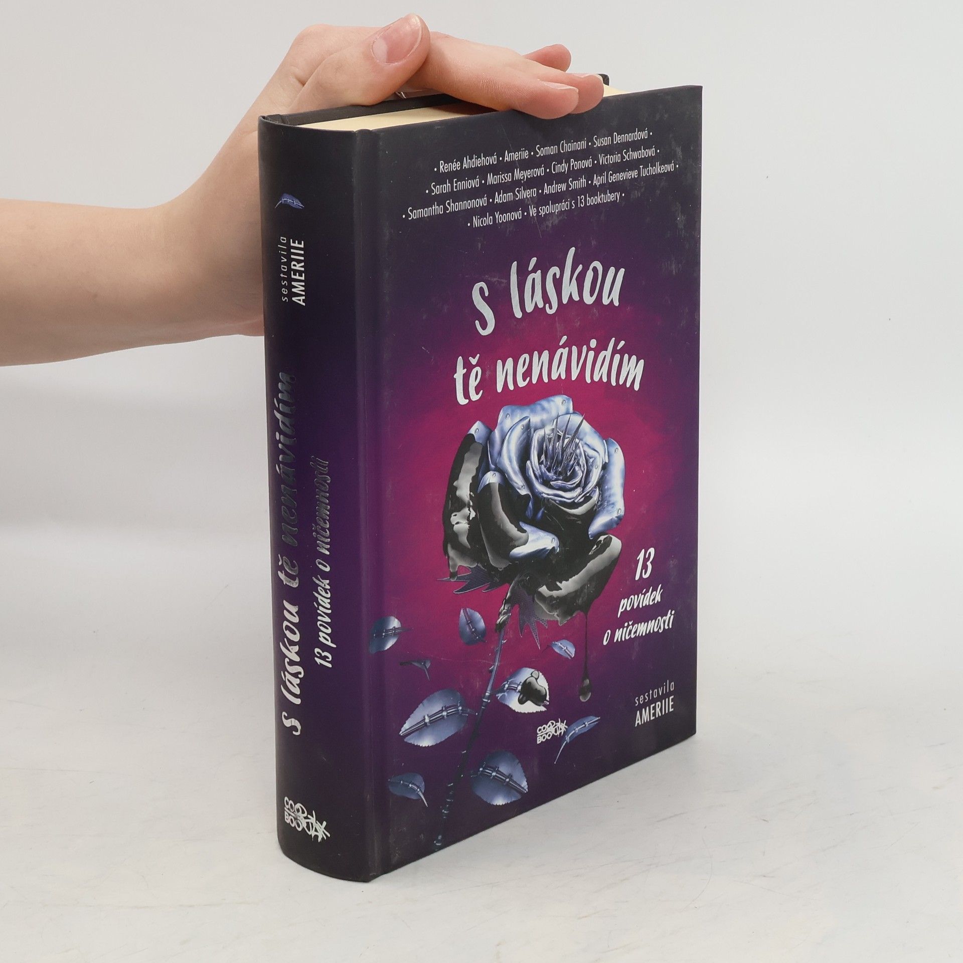 S láskou tě nenávidím