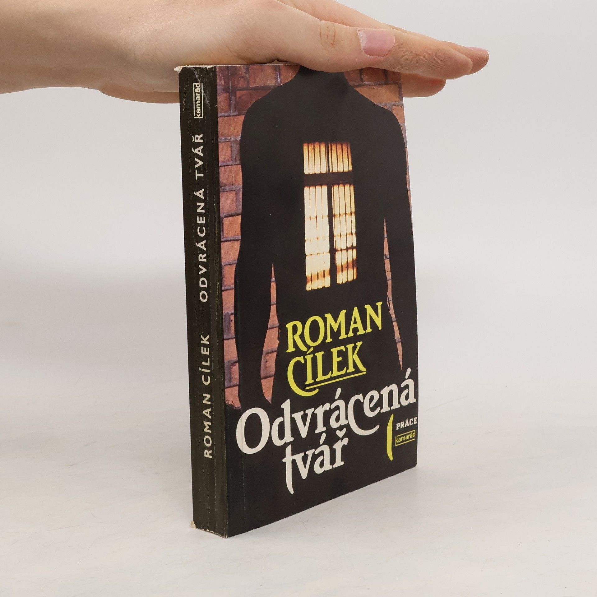 Roman Cílek Odvrácená tvář