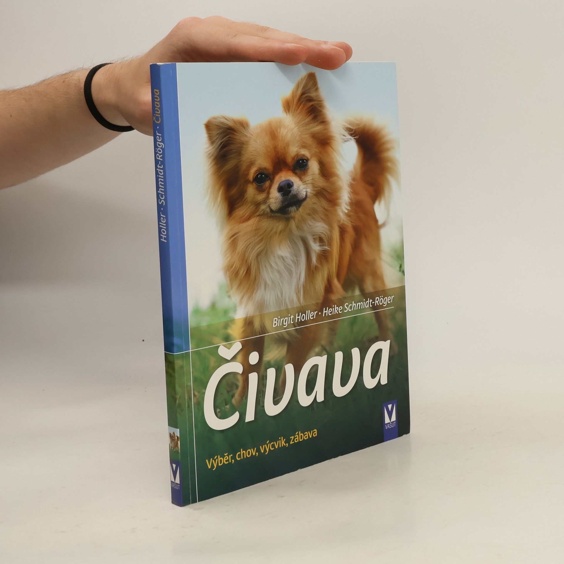 Birgit Holler Čivava: Výběr, chov, výcvik, zábava