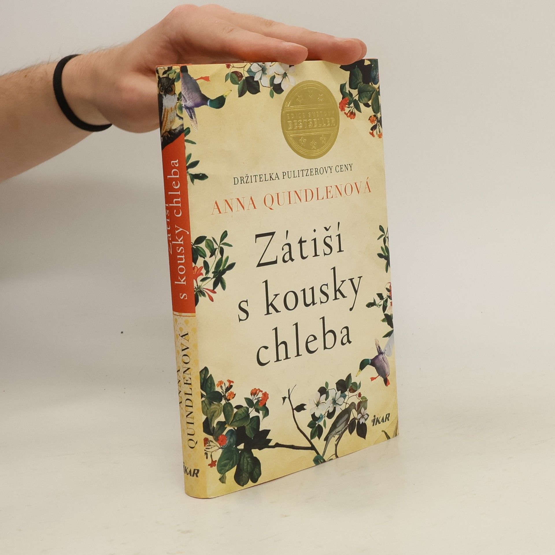 Anna Quindlen Zátiší s kousky chleba