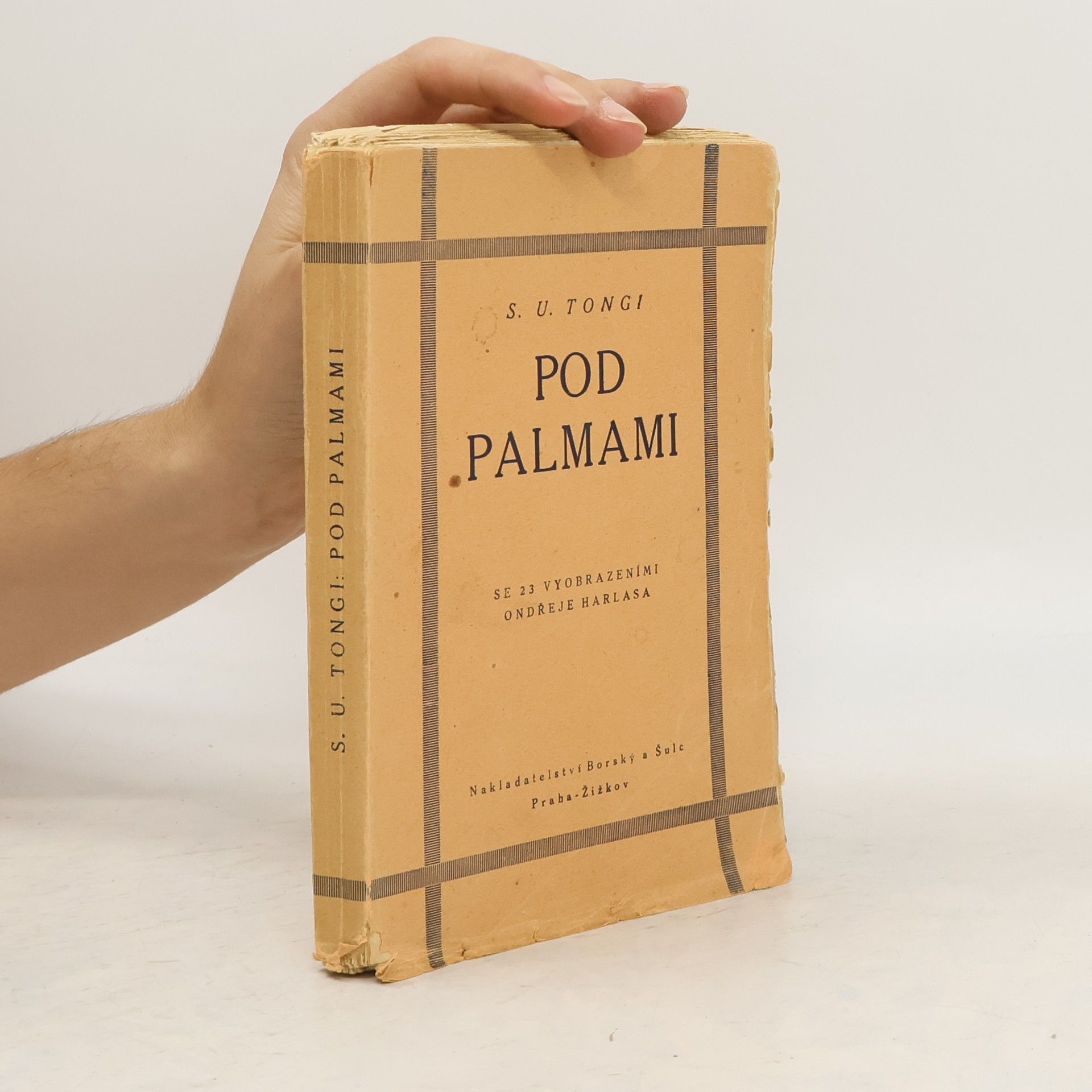 S. U. Tongi Pod palmami