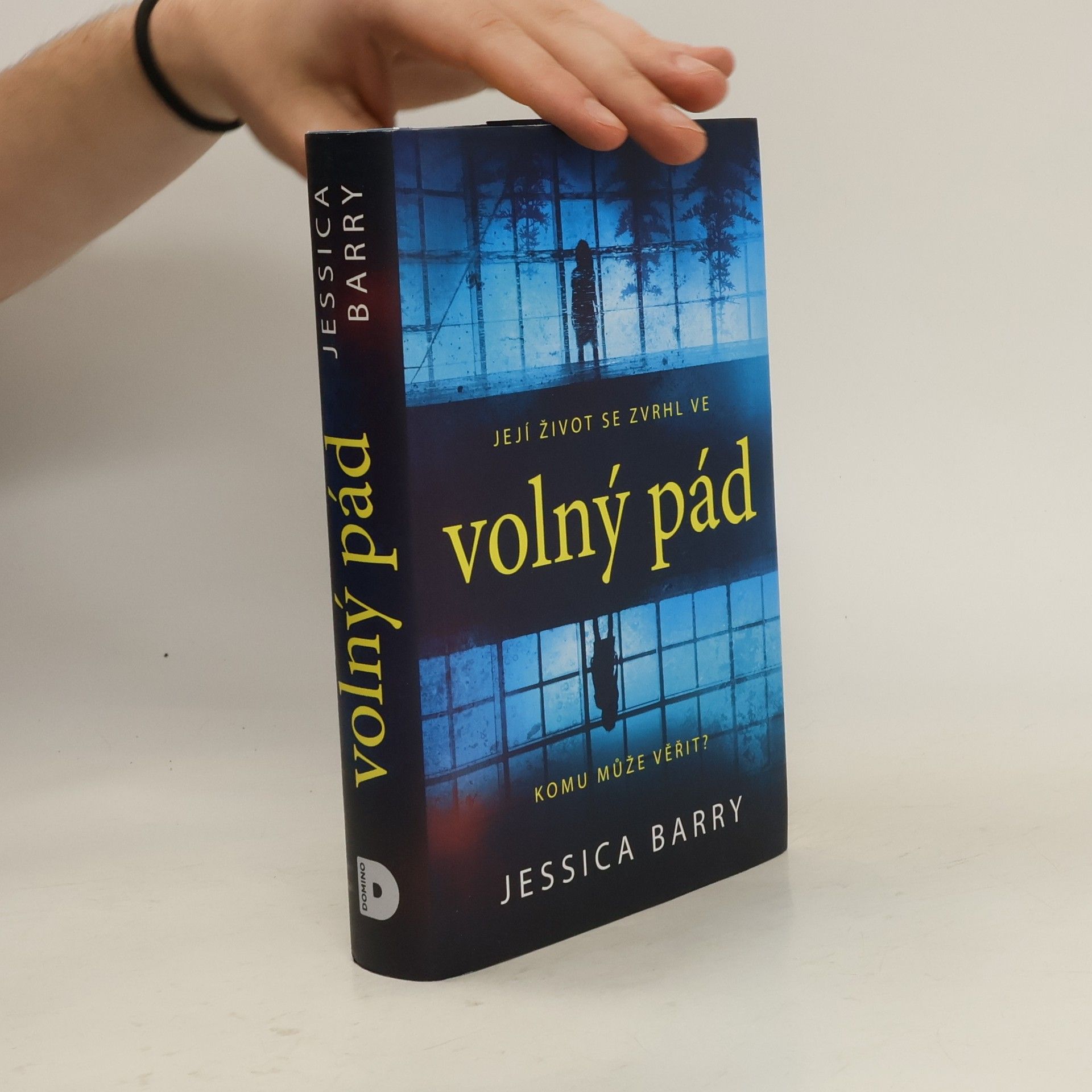 Jessica Barry Volný pád