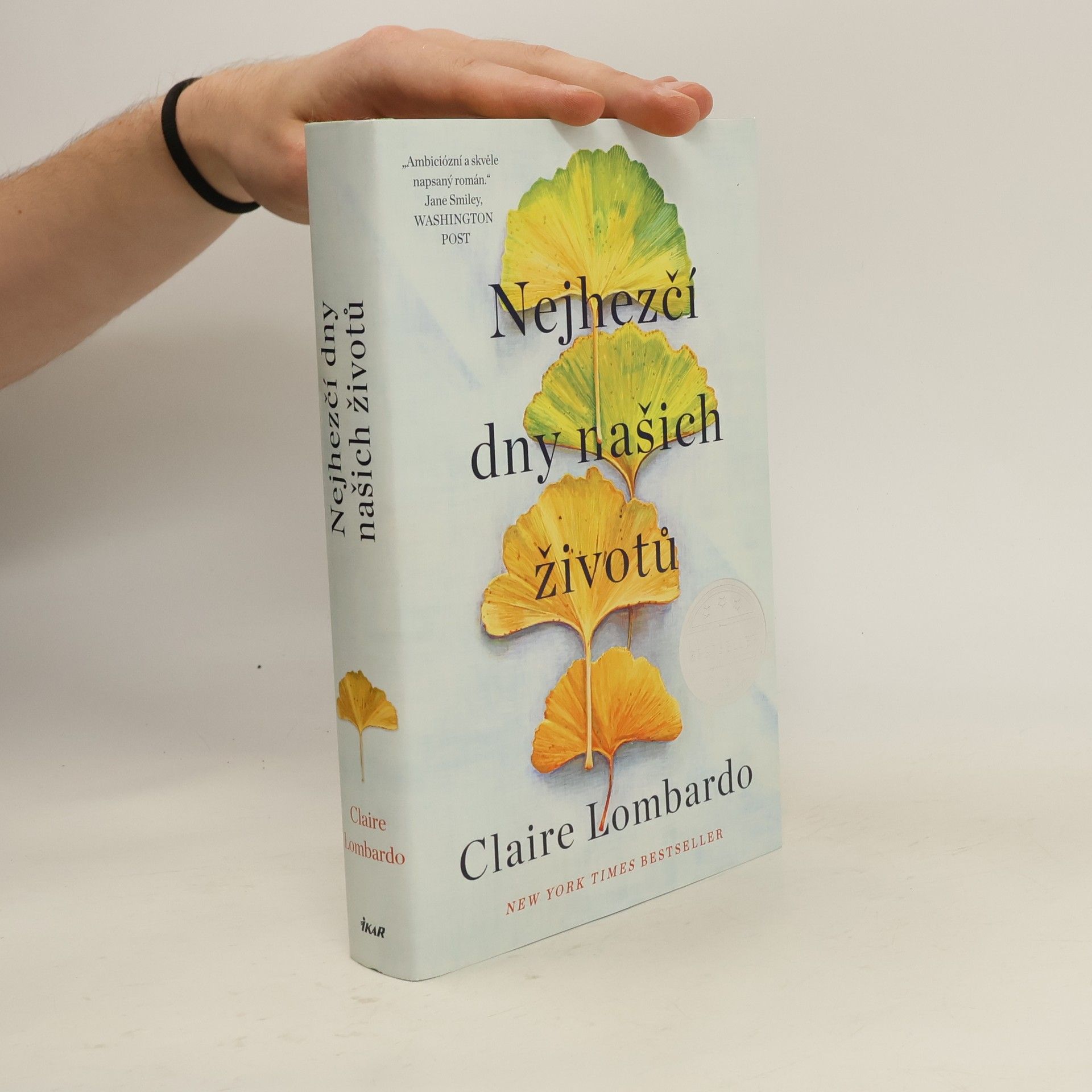 Claire Lombardo Nejhezčí dny našich životů