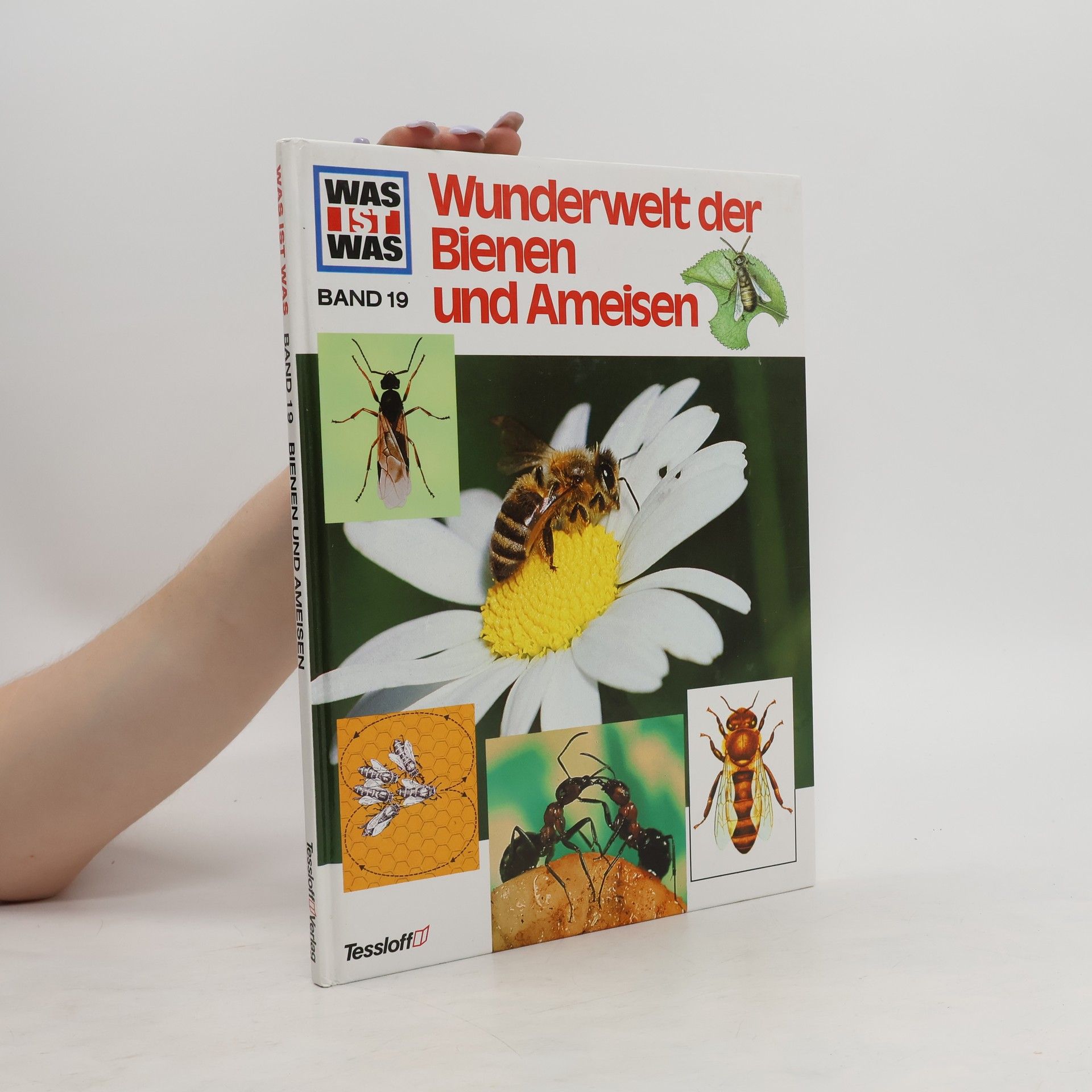 Ronald N. Rood Bienen und Ameisen