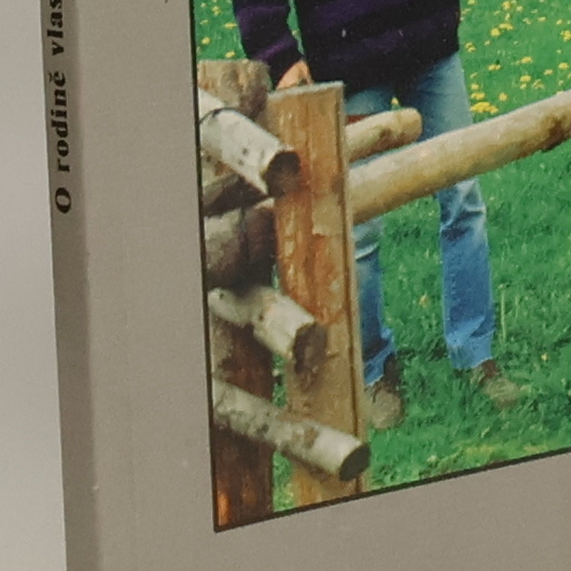 Zdeněk Matějček O rodině vlastní, nevlastní a náhradní