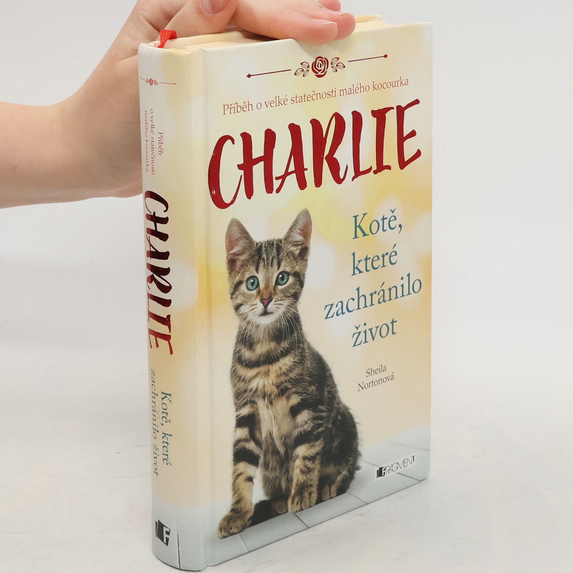 Sheila Norton Charlie - kotě, které zachránilo život