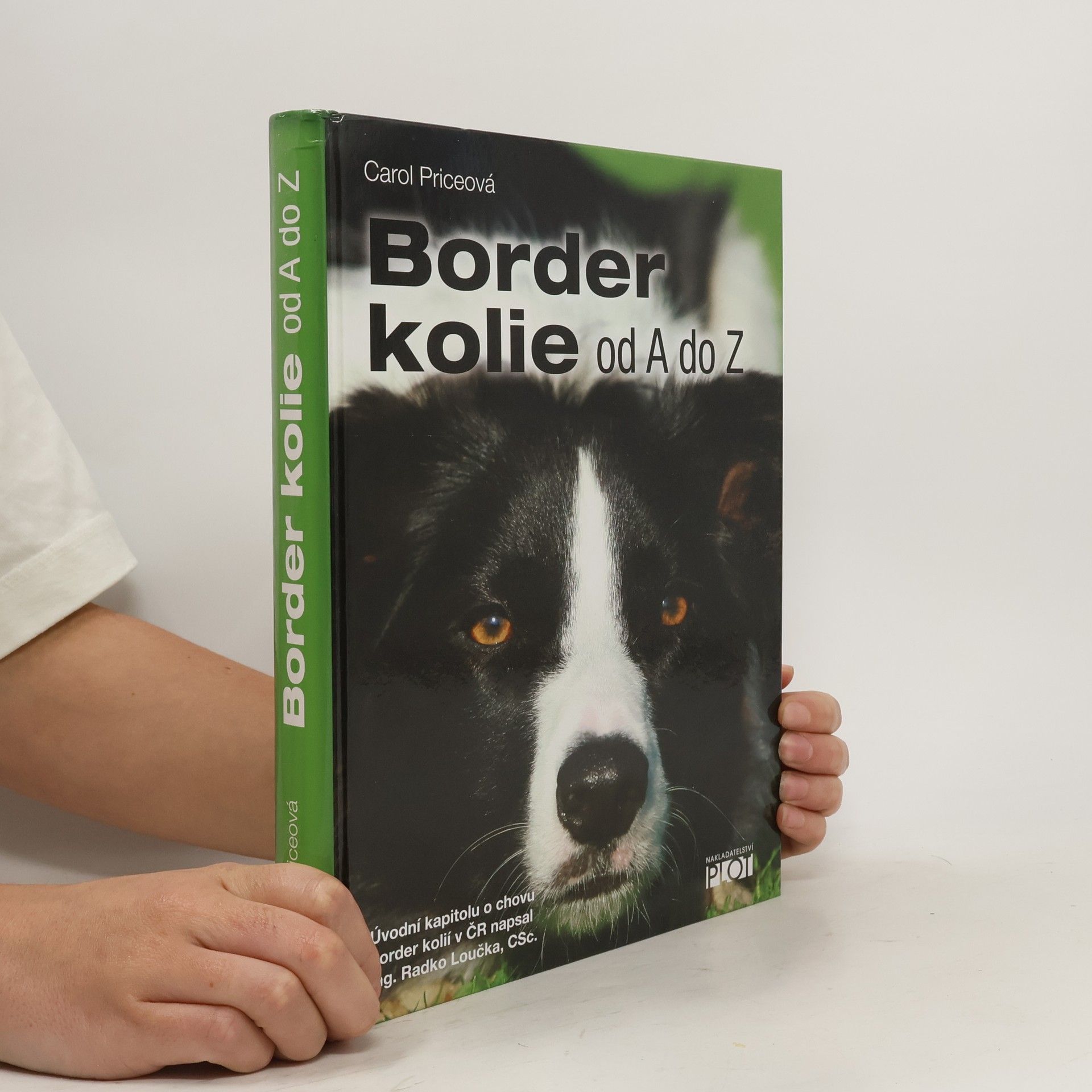 Carol Price Border kolie od A do Z