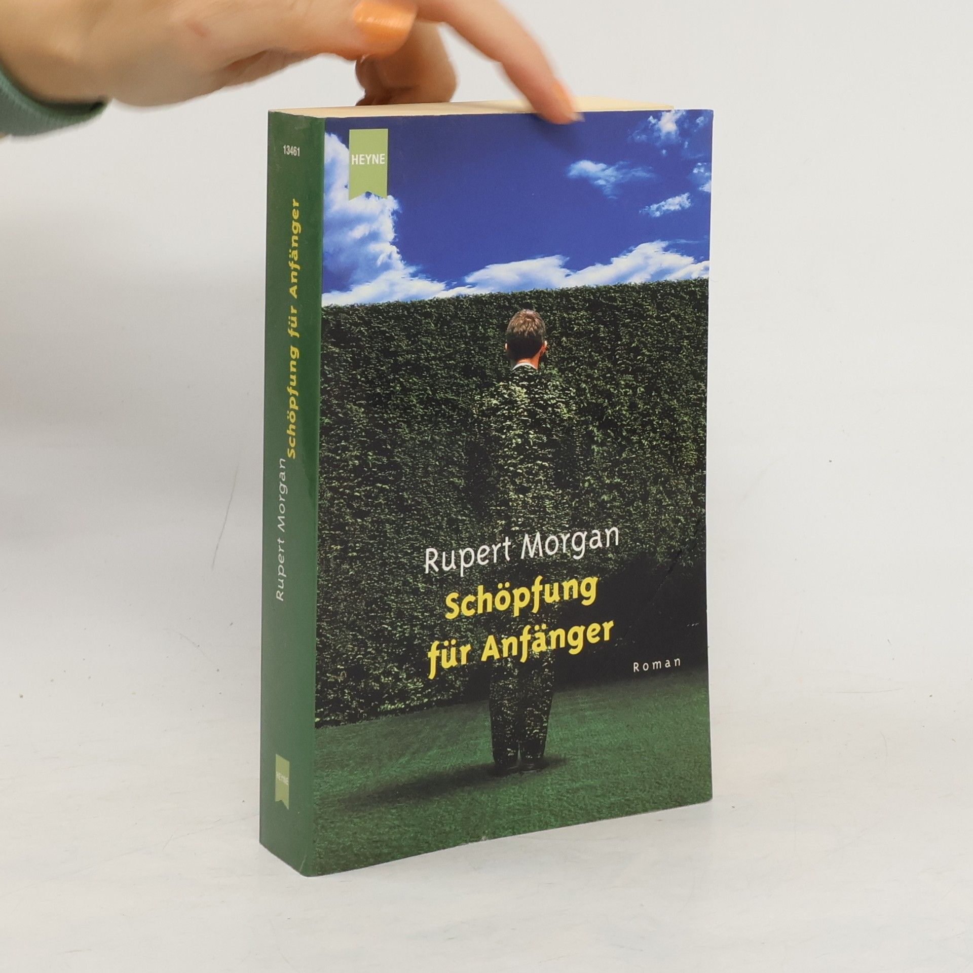 Rupert Morgan Schöpfung für Anfänger