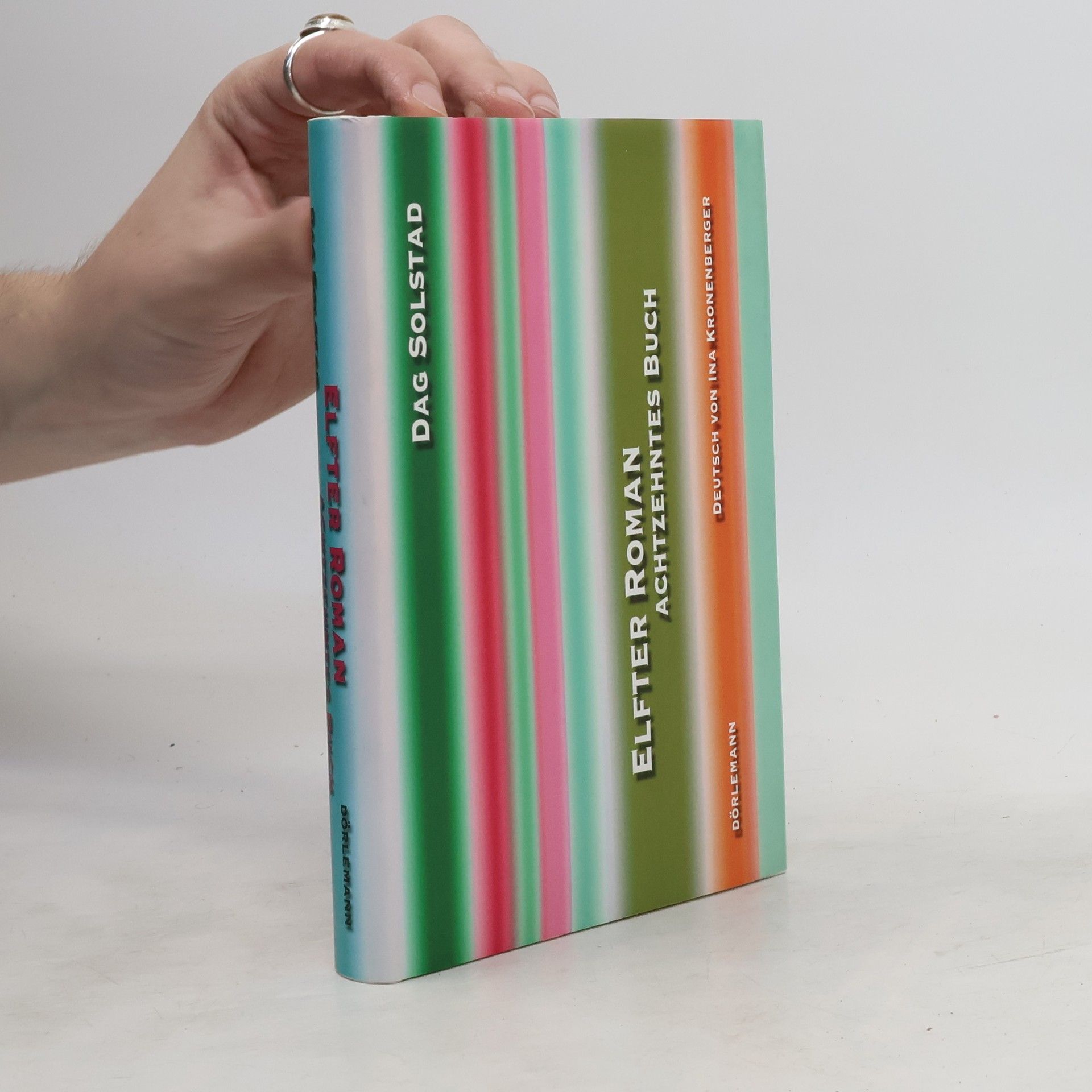 Dag Solstad Elfter Roman, achtzehntes Buch
