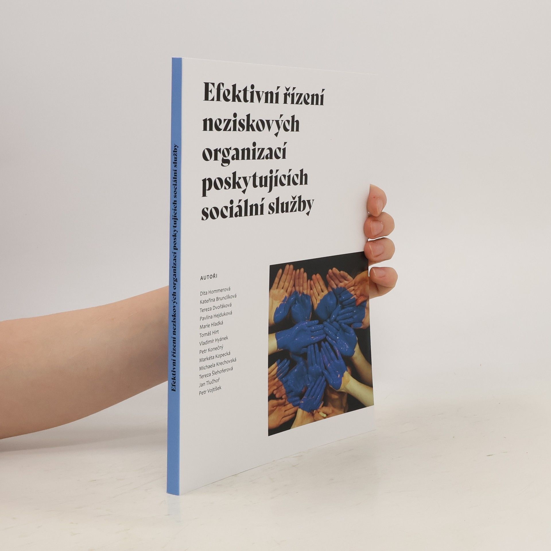 Autorenkollektiv Efektivní řízení neziskových organizací poskytujících sociální služby