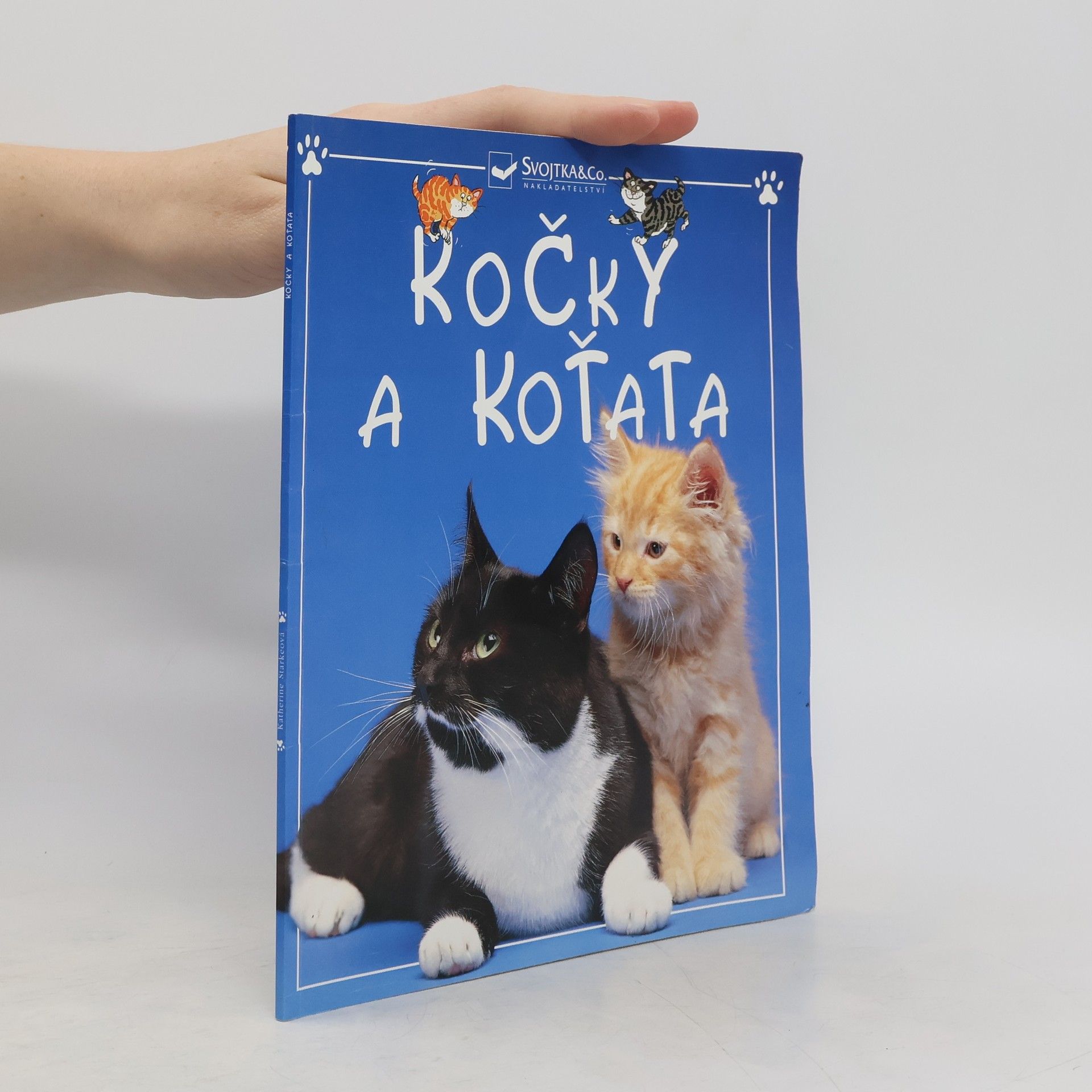 Autorenkollektiv Kočky a koťata
