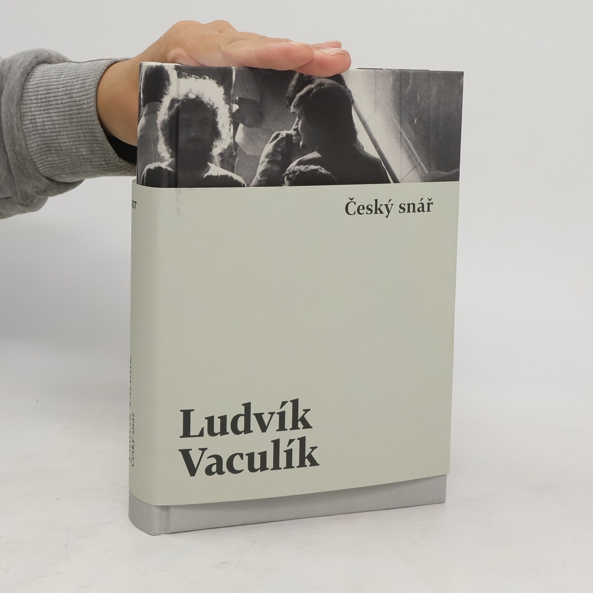 Ludvík Vaculík Český snář