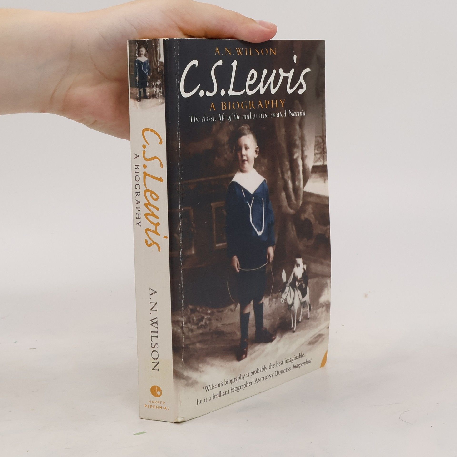 Anne Wilson C. S. Lewis